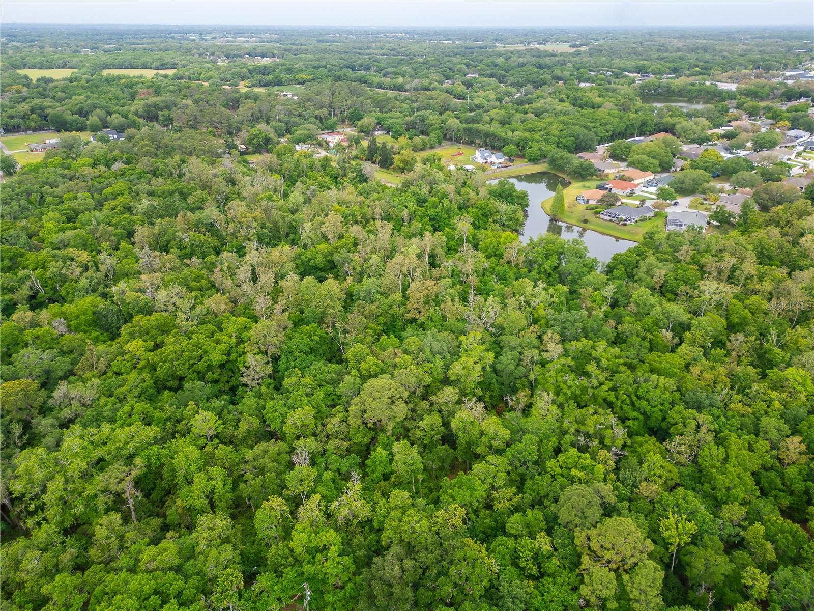 Image 30 of 36 For Turkey Creek