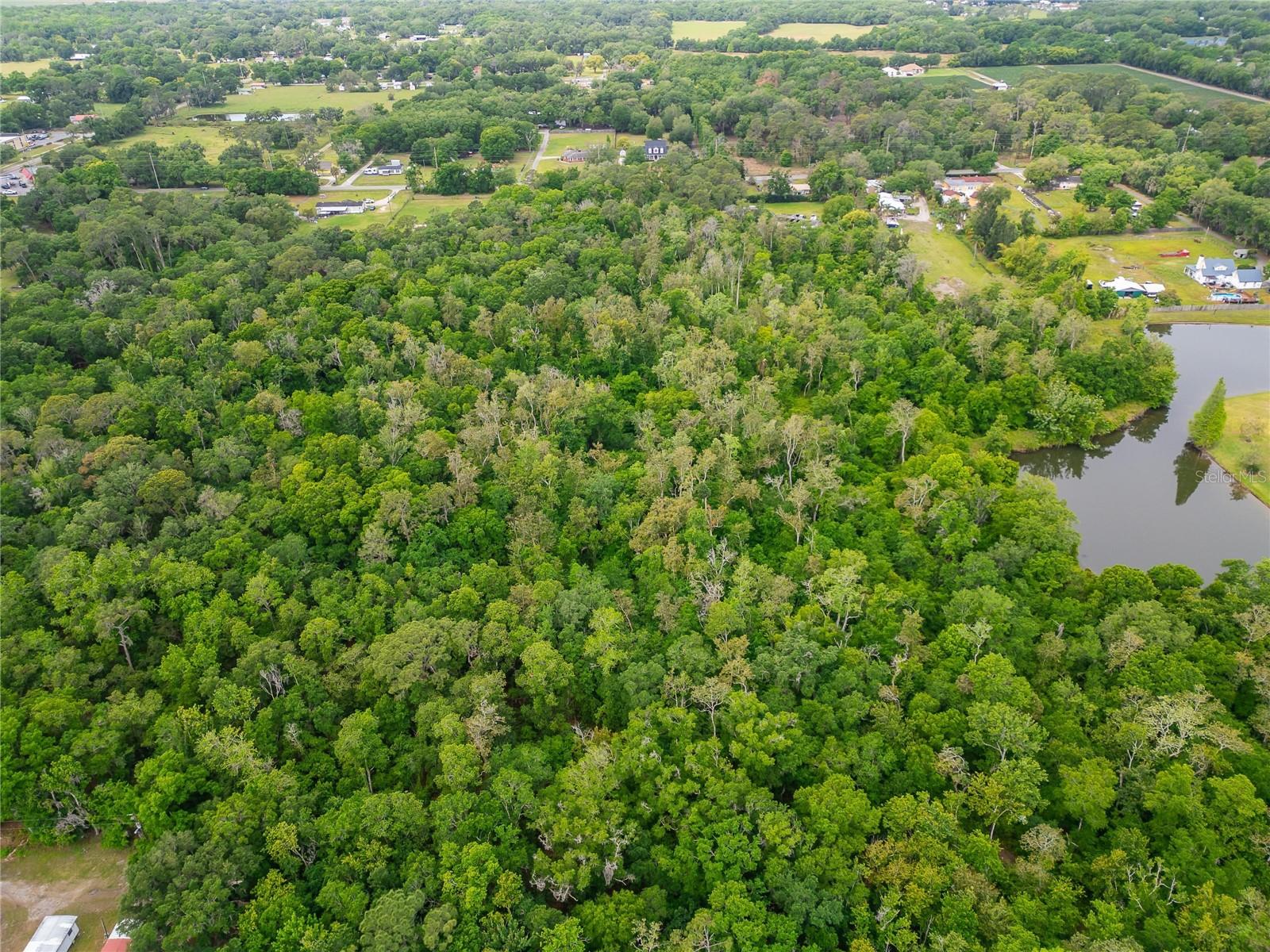 Image 34 of 36 For Turkey Creek