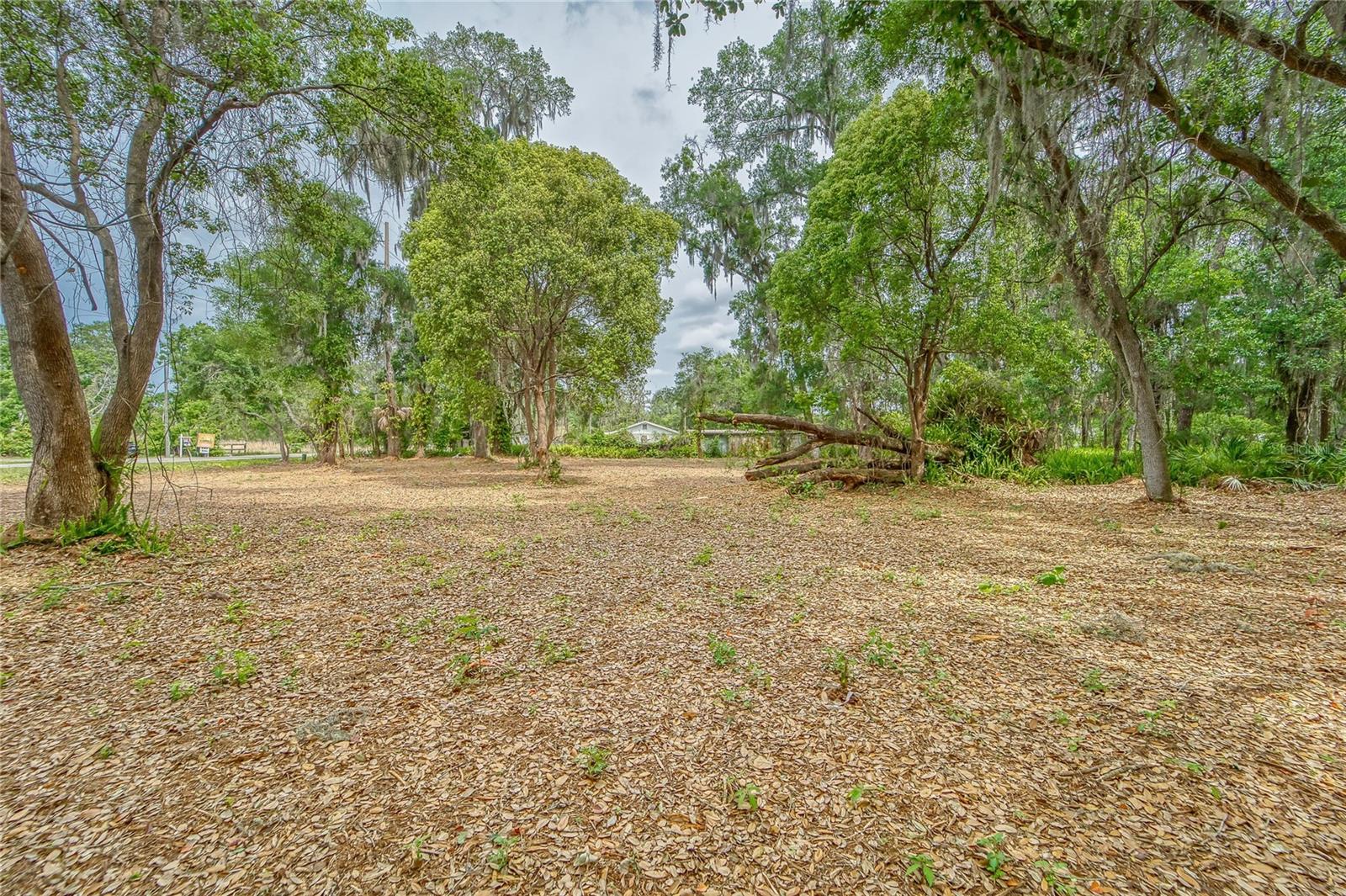 Image 8 of 36 For Turkey Creek