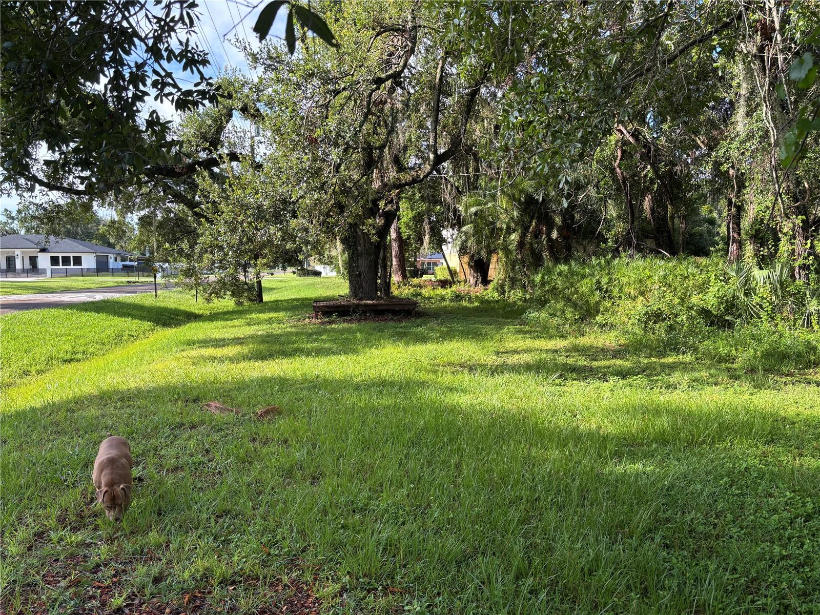 Image 15 of 15 For 8302 Pat Boulevard