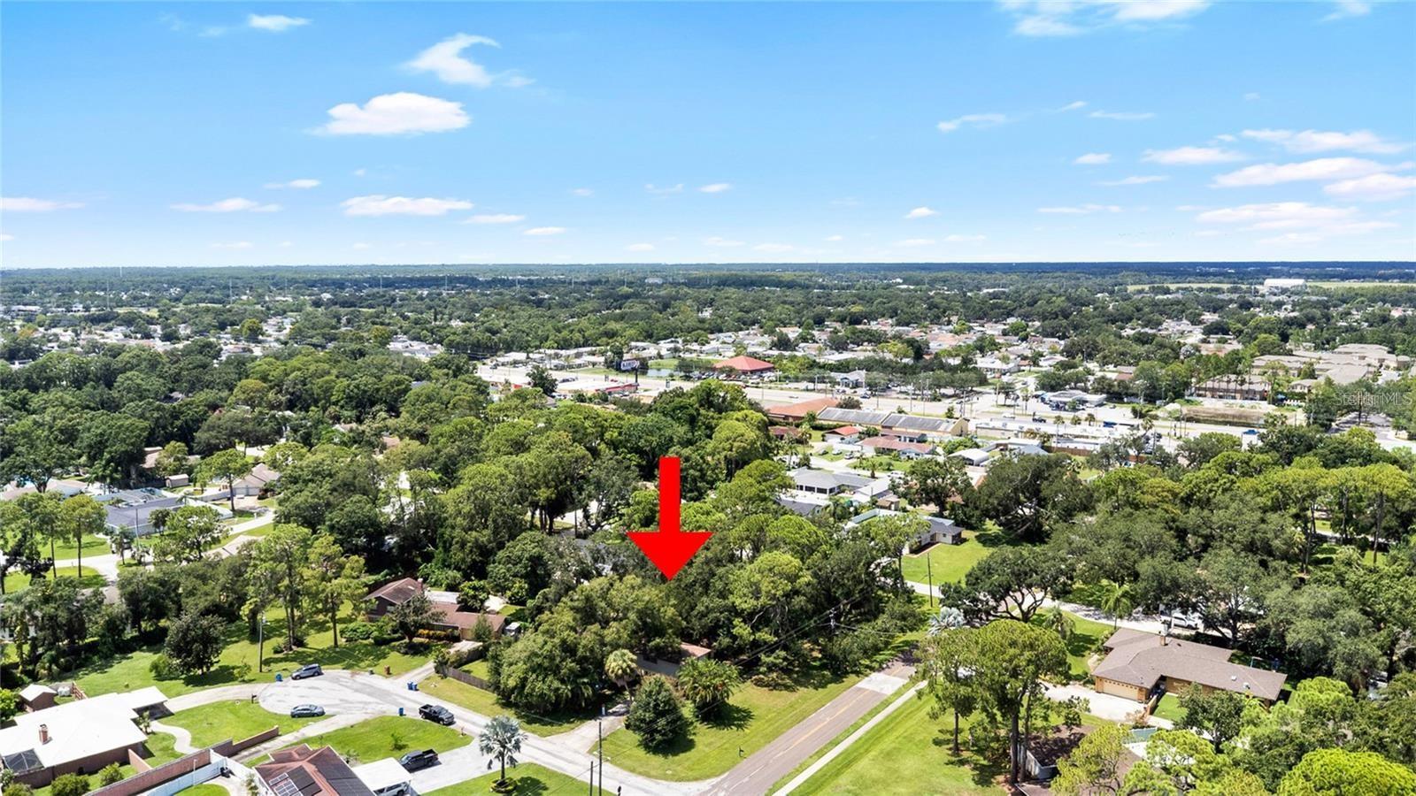Image 7 of 15 For 8302 Pat Boulevard