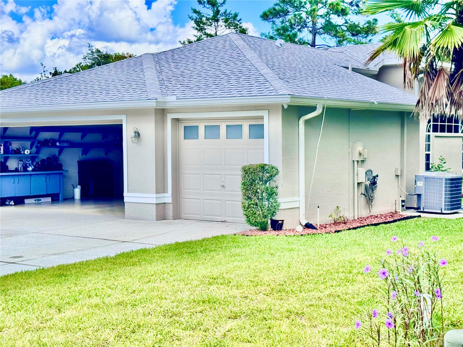 Image 73 of 83 For 10 Euphorbia Court