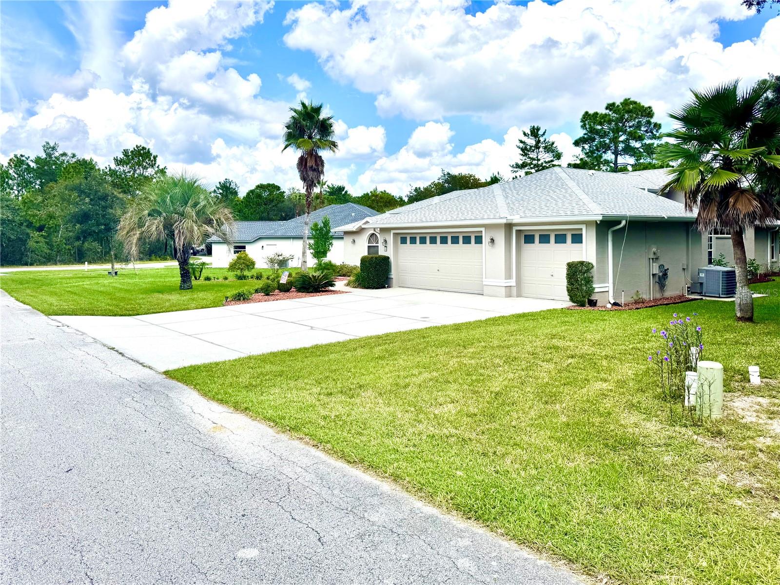 Image 74 of 83 For 10 Euphorbia Court