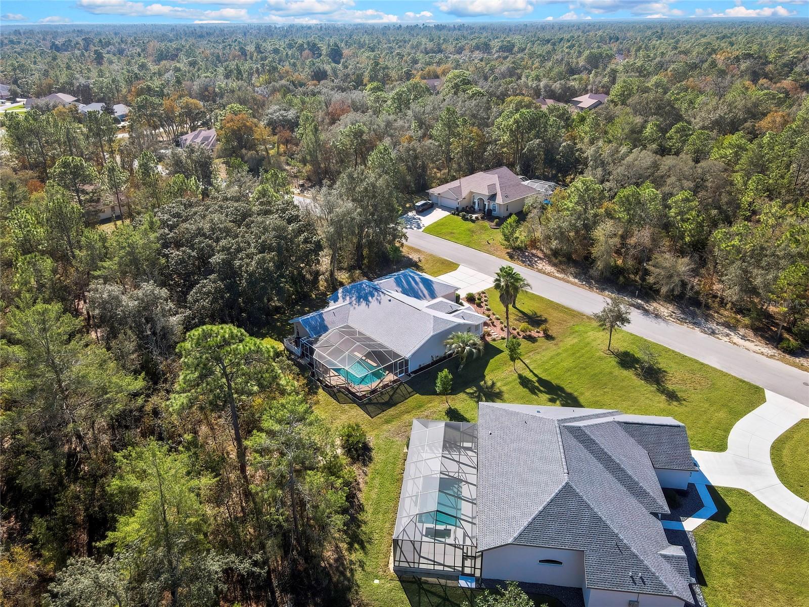 Image 75 of 83 For 10 Euphorbia Court