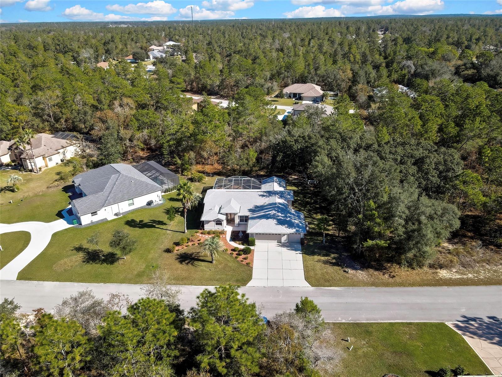 Image 77 of 83 For 10 Euphorbia Court