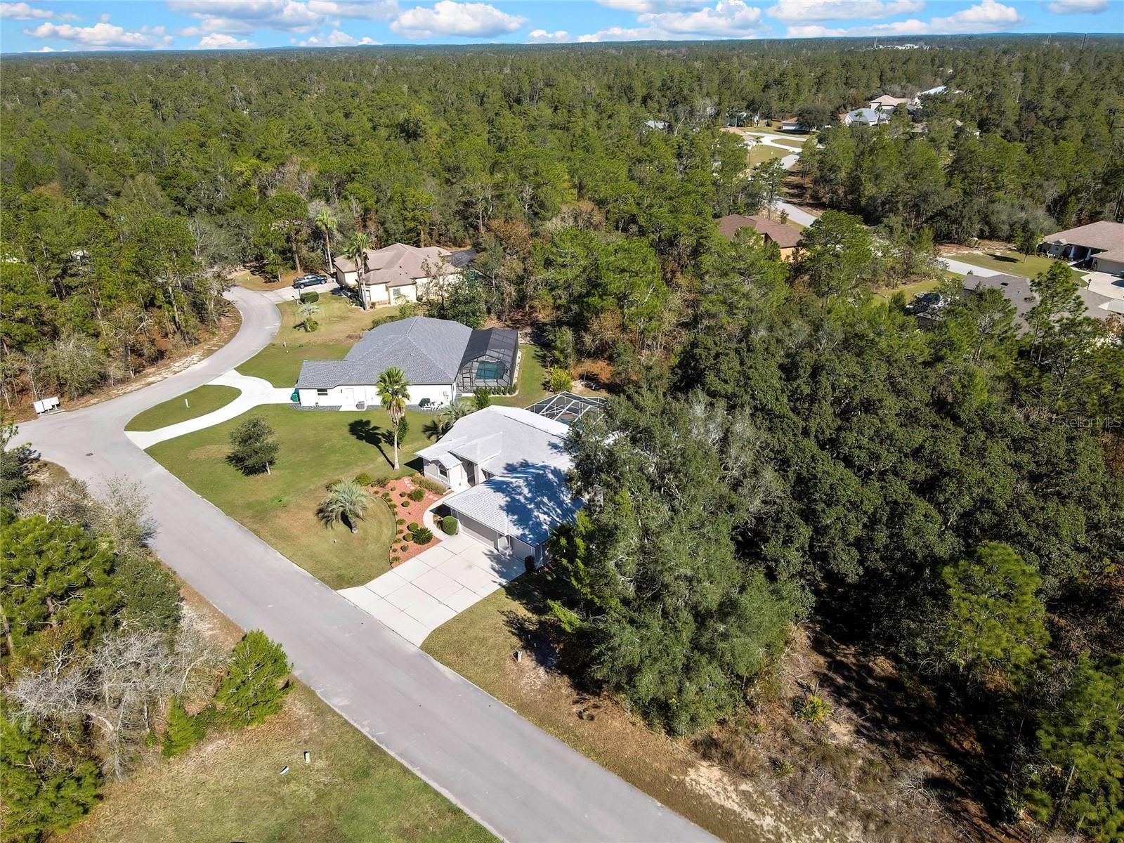 Image 78 of 83 For 10 Euphorbia Court