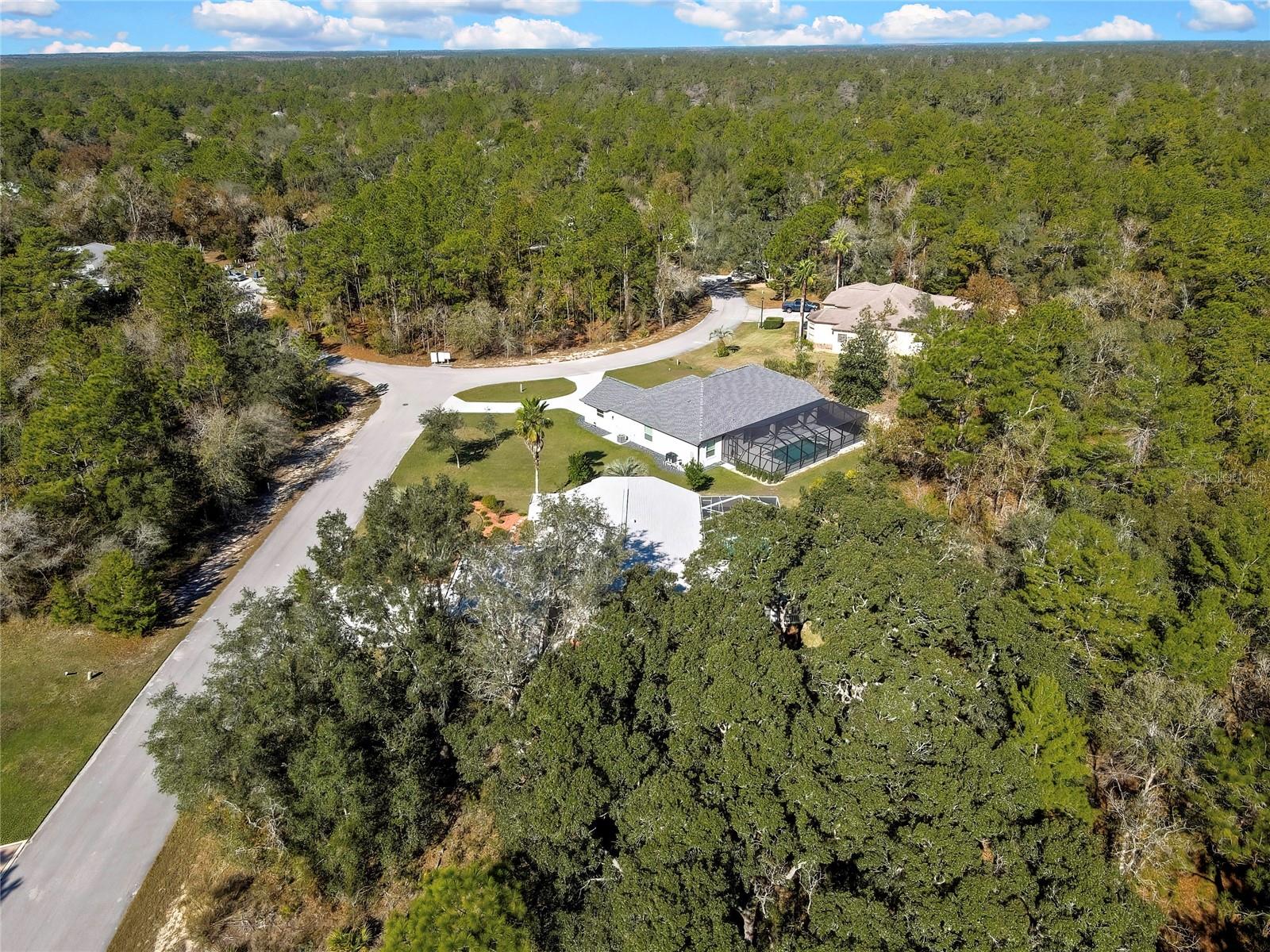 Image 79 of 83 For 10 Euphorbia Court