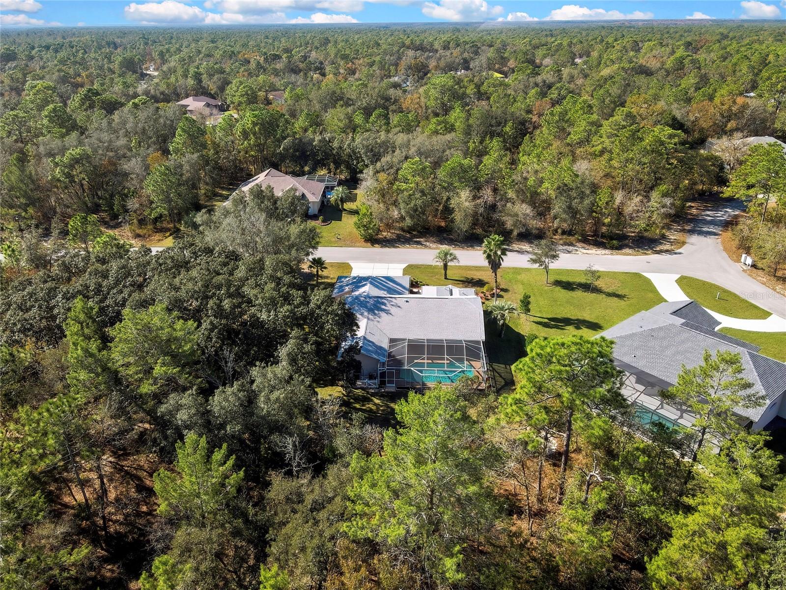 Image 81 of 83 For 10 Euphorbia Court