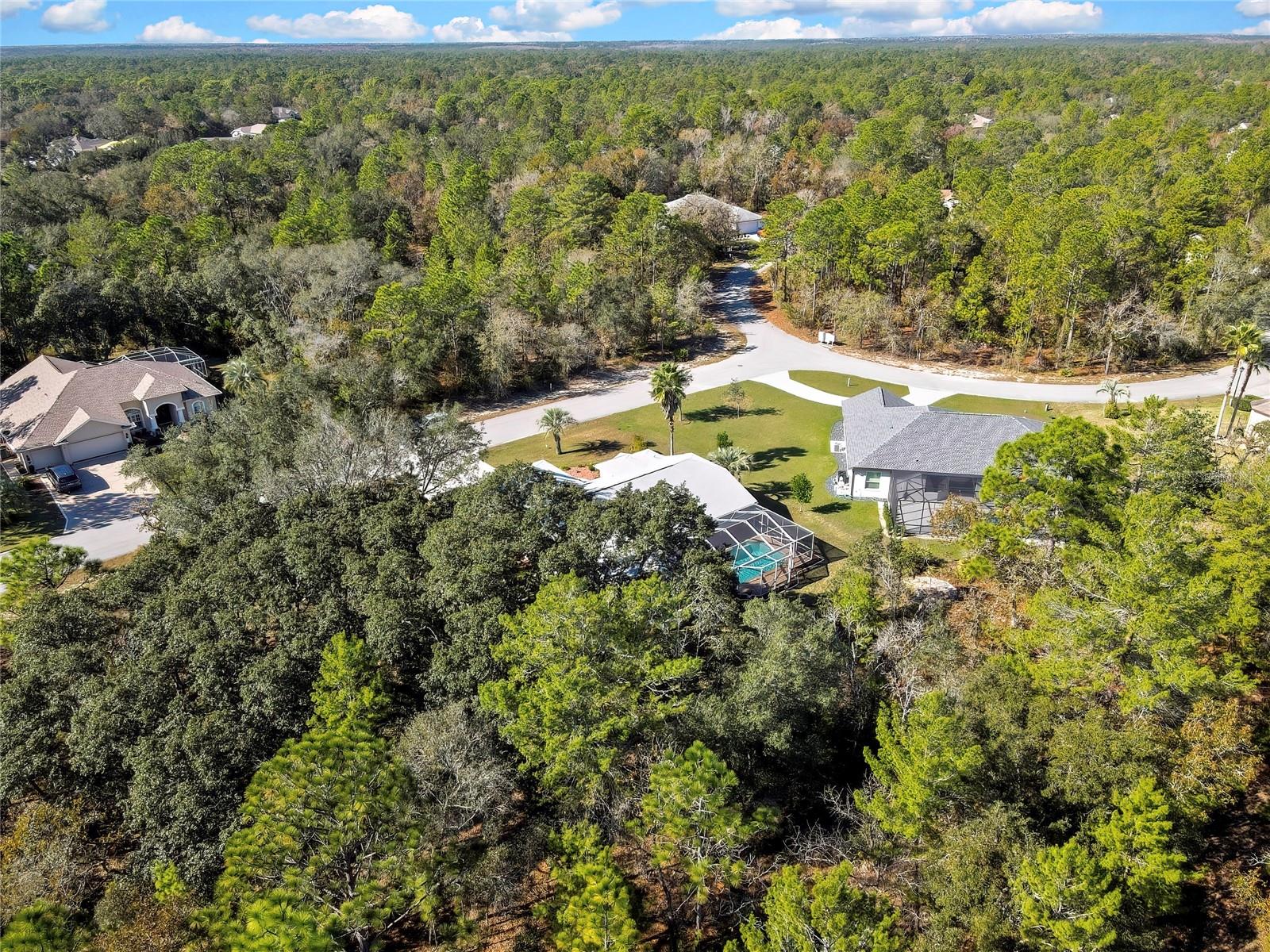 Image 83 of 83 For 10 Euphorbia Court