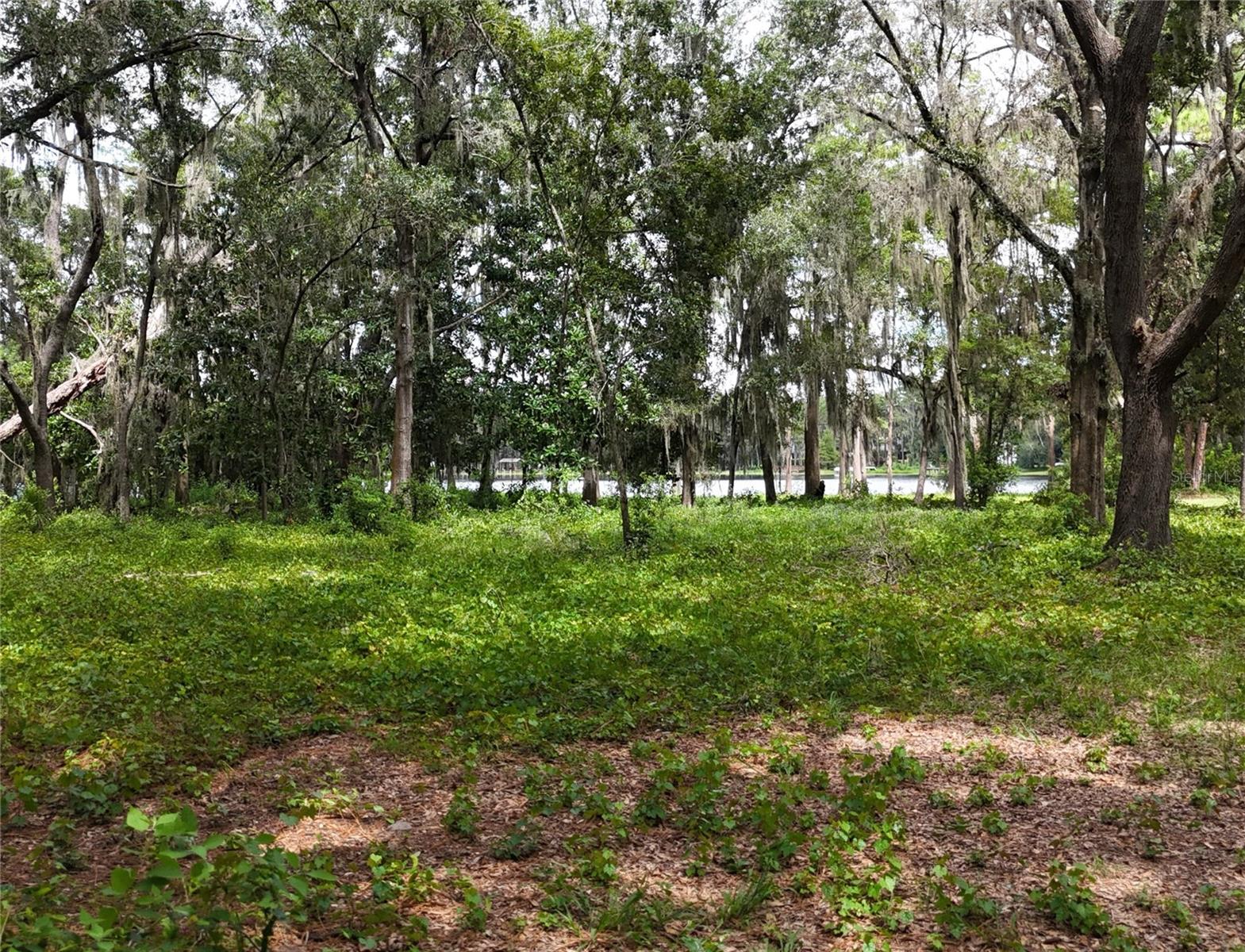 Image 8 of 16 For  Rogers Road 