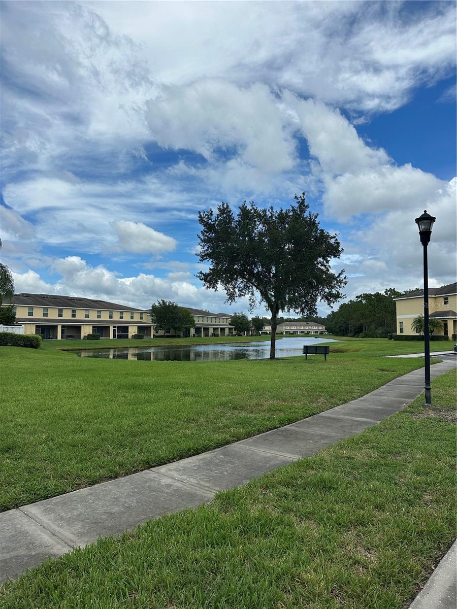 Listing photo id 25 for 20474 Needletree Drive 20474