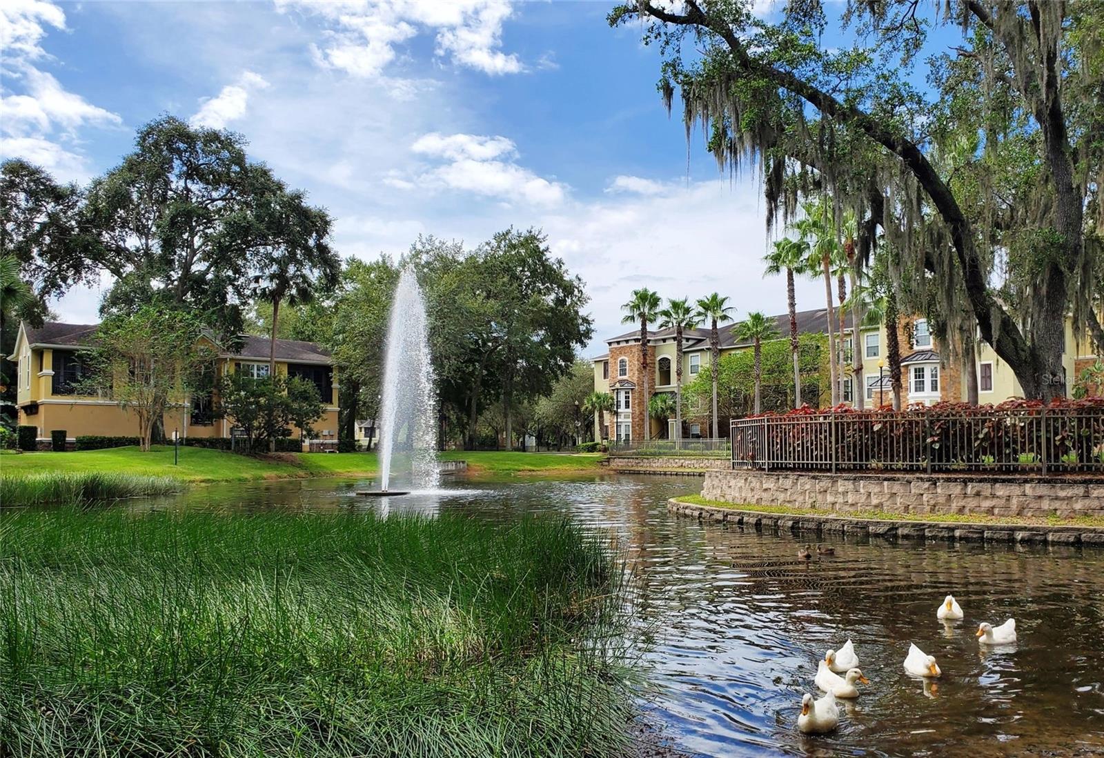 Listing photo id 8 for 2406 Courtney Meadows Court 303