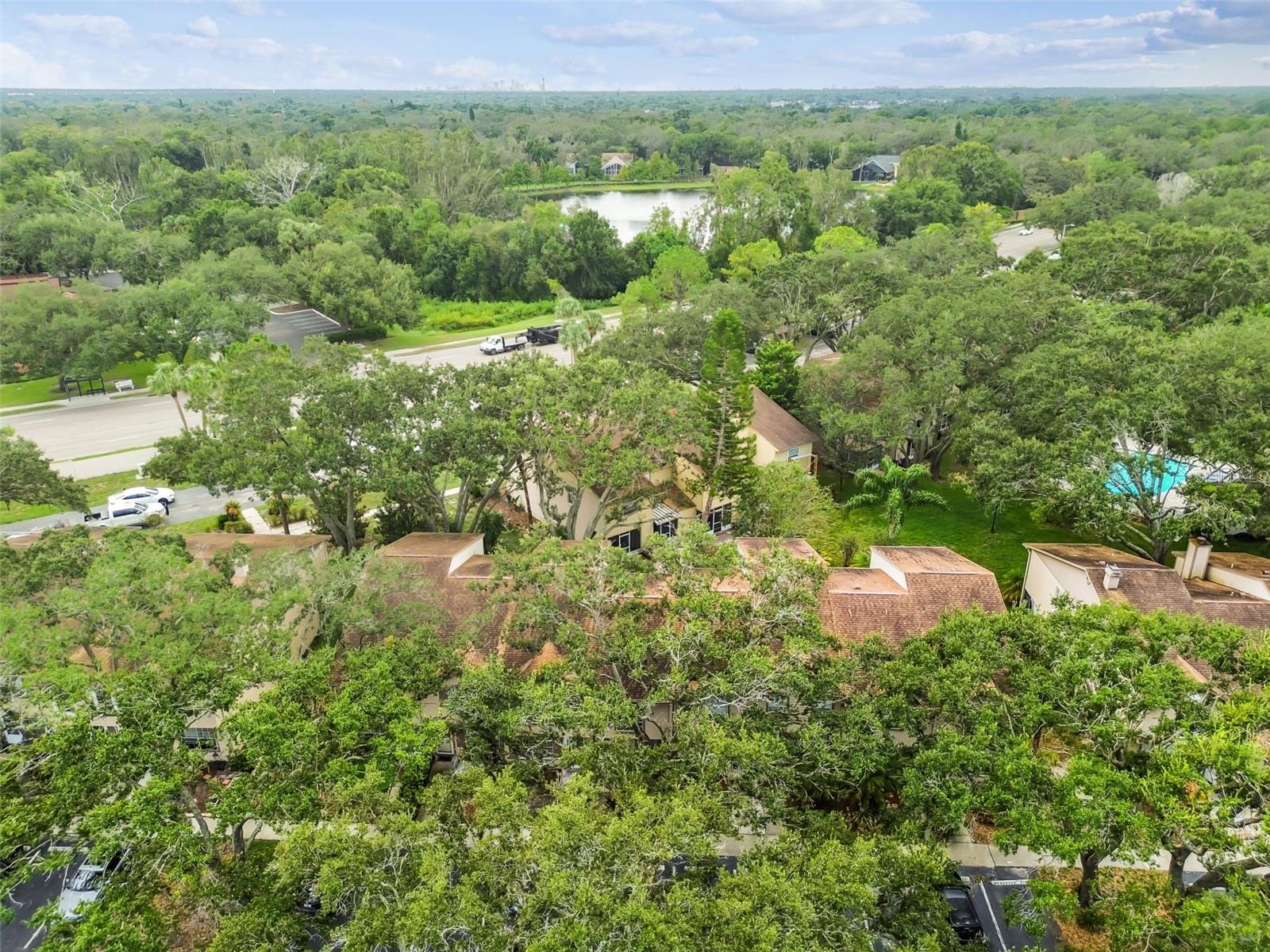 Image 59 of 72 For 2124 Fletchers Point Circle