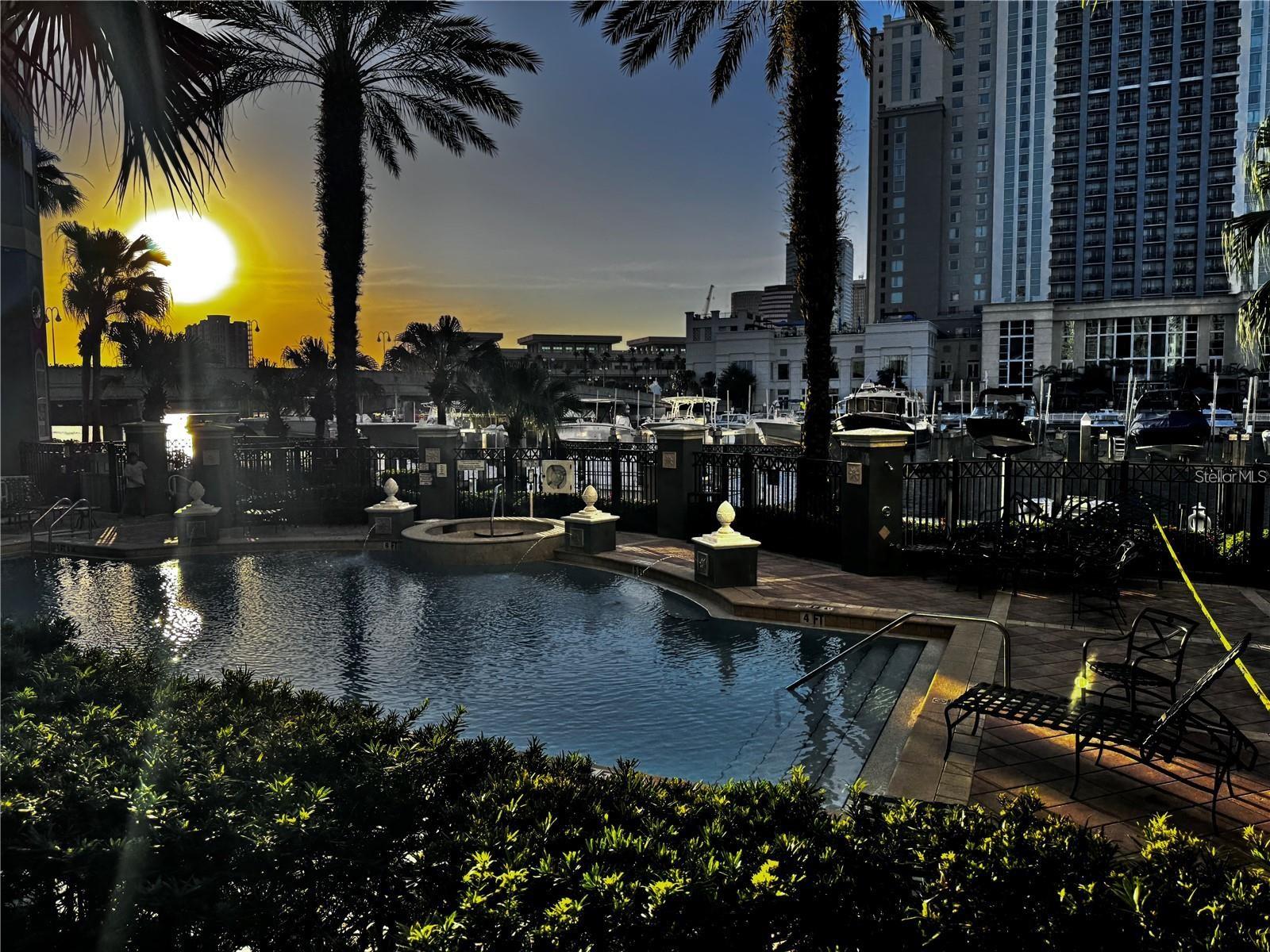 Image 34 of 49 For 700 Harbour Island Boulevard 521