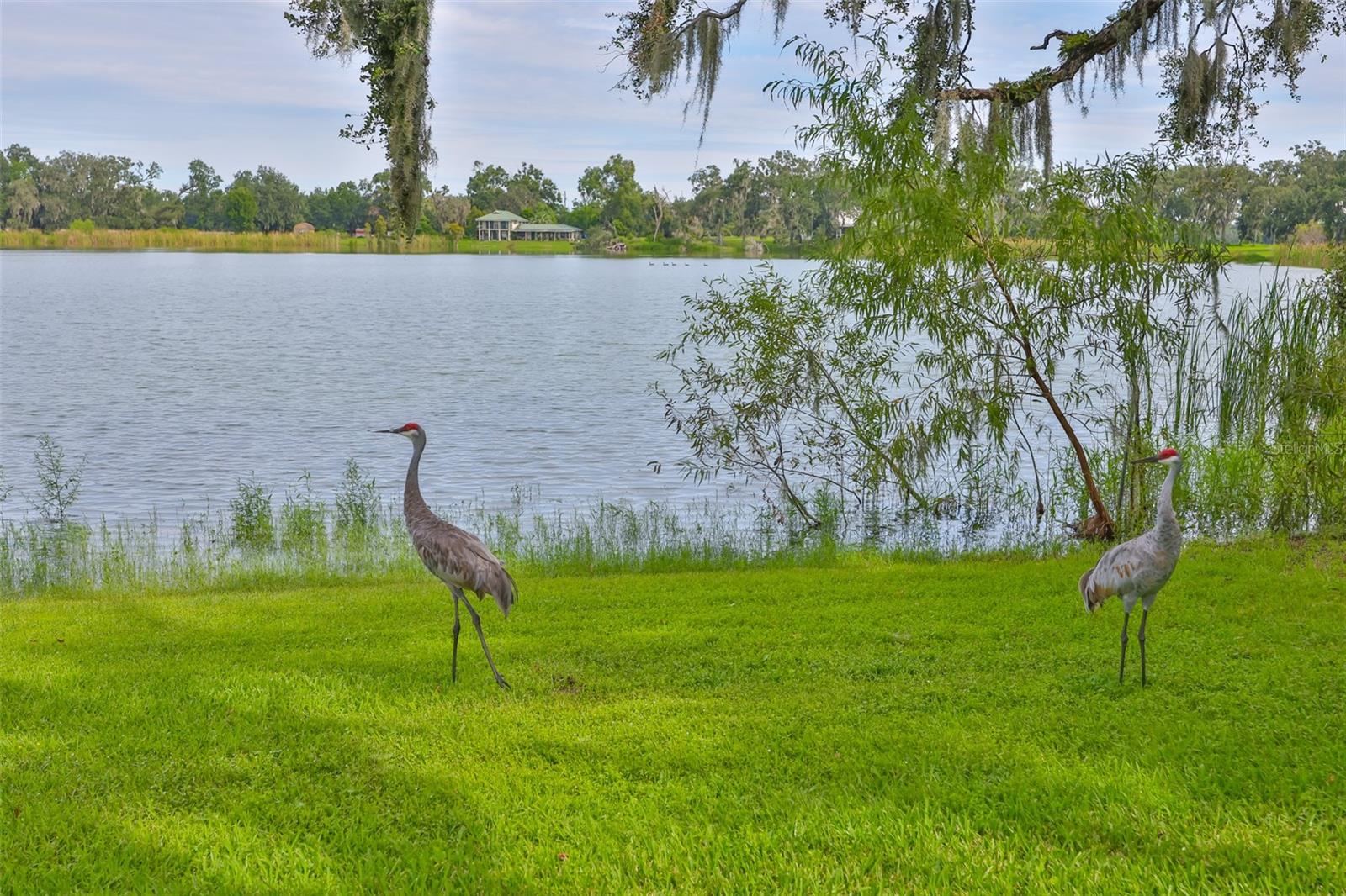 Image 55 of 59 For 14028 Blackjack Road