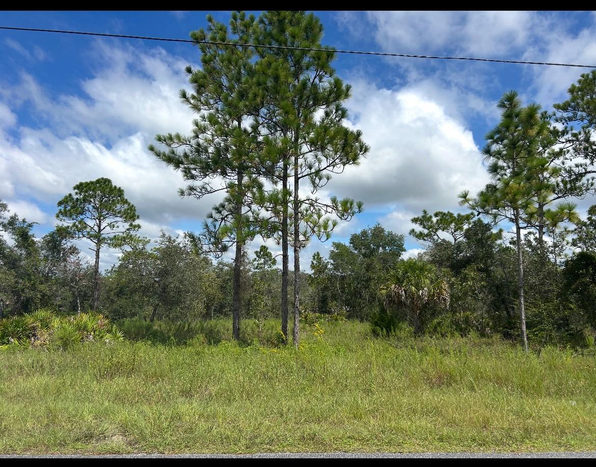 Listing Details for  Papercraft  , BROOKSVILLE, FL 34613