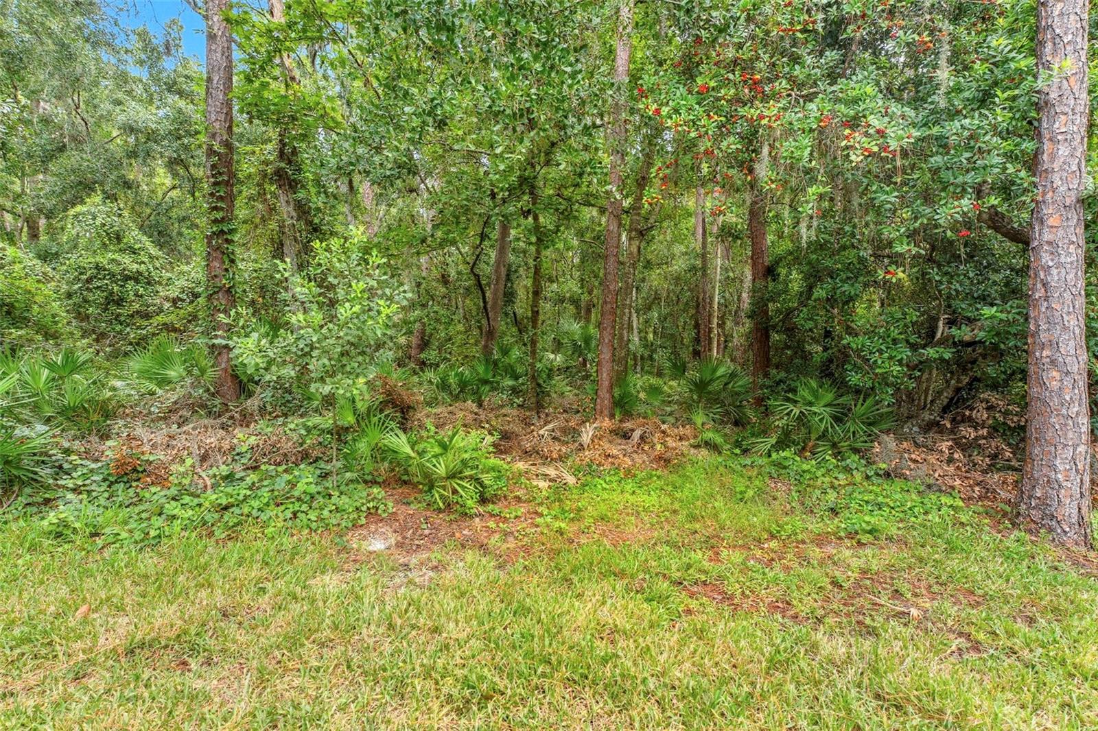 Image 45 of 51 For 5108 Dunham Creek Place