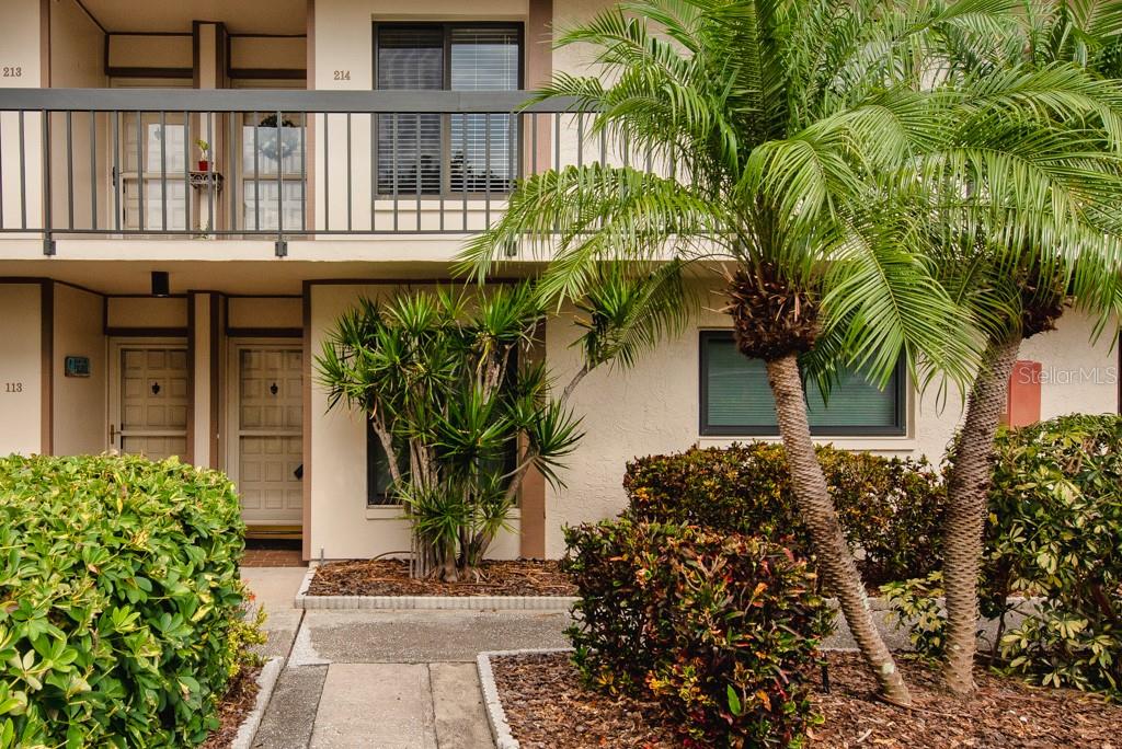 Image 2 of 45 For 6219 Palma Del Mar Boulevard S 114