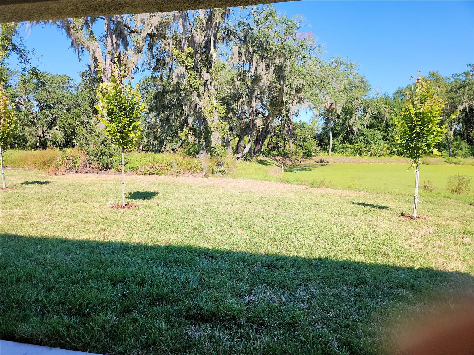 Image 14 of 17 For 418 Shannon Estates Court