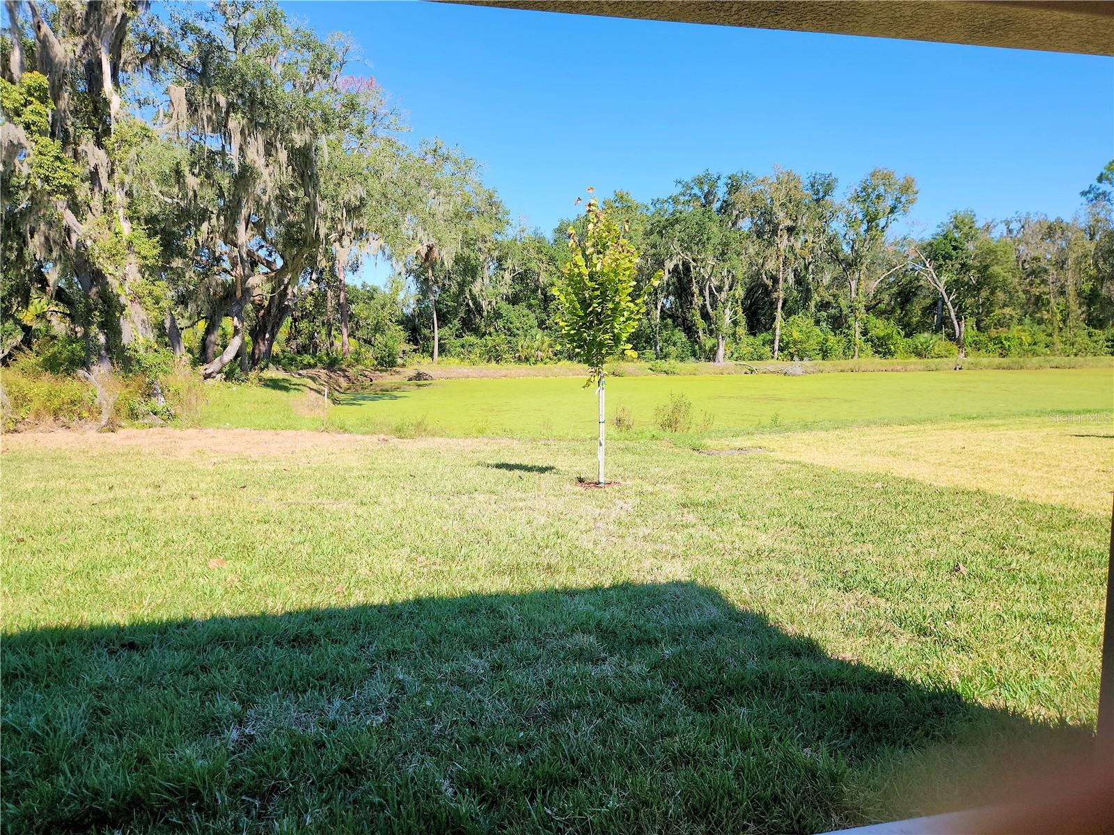 Image 15 of 17 For 418 Shannon Estates Court