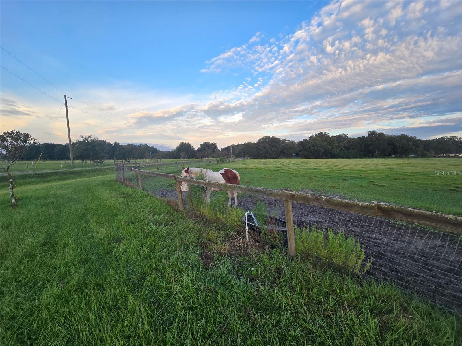 Details for 9233 12th Drive, WEBSTER, FL 33597