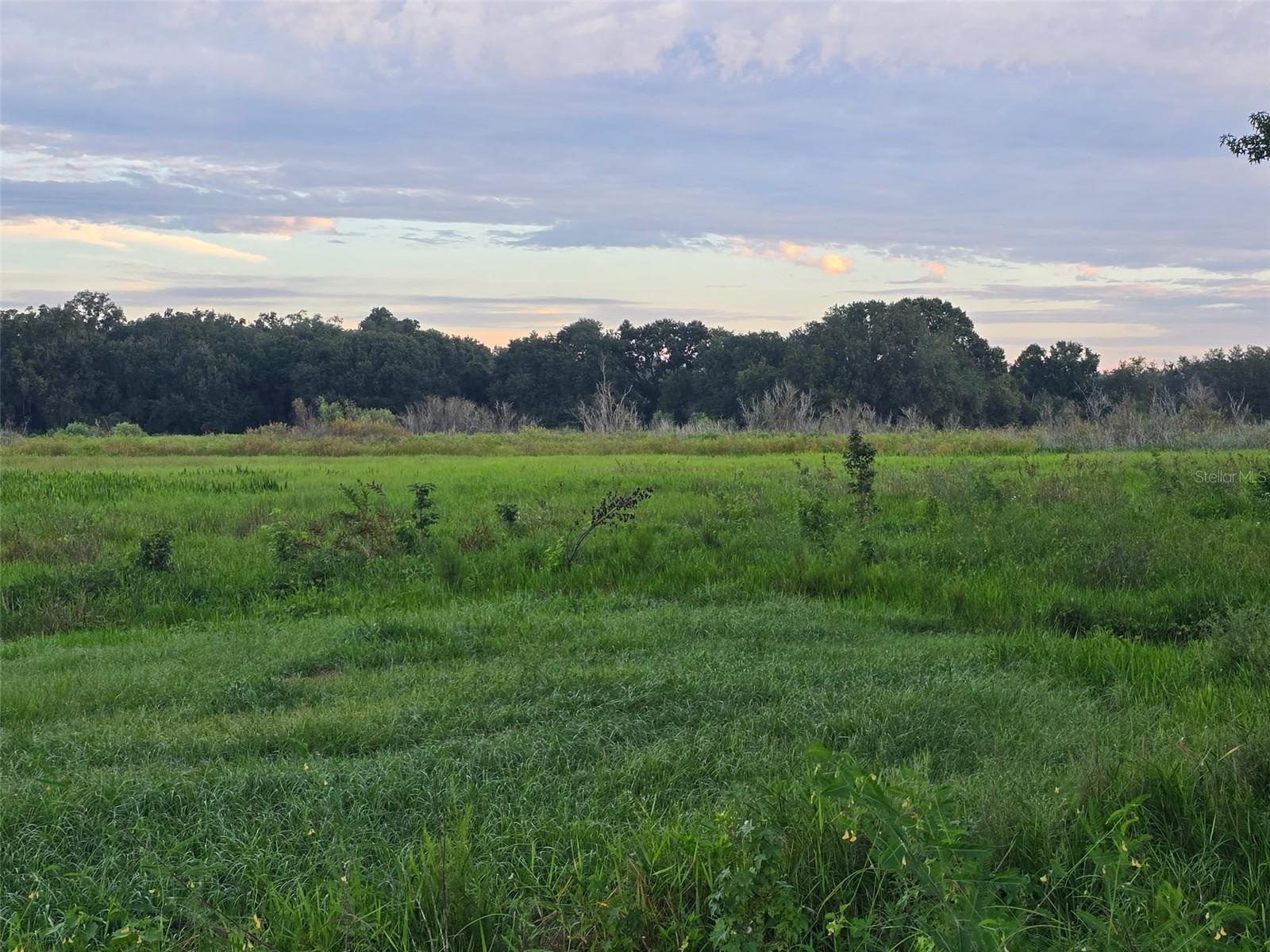 Image 5 of 7 For 9233 12th Drive