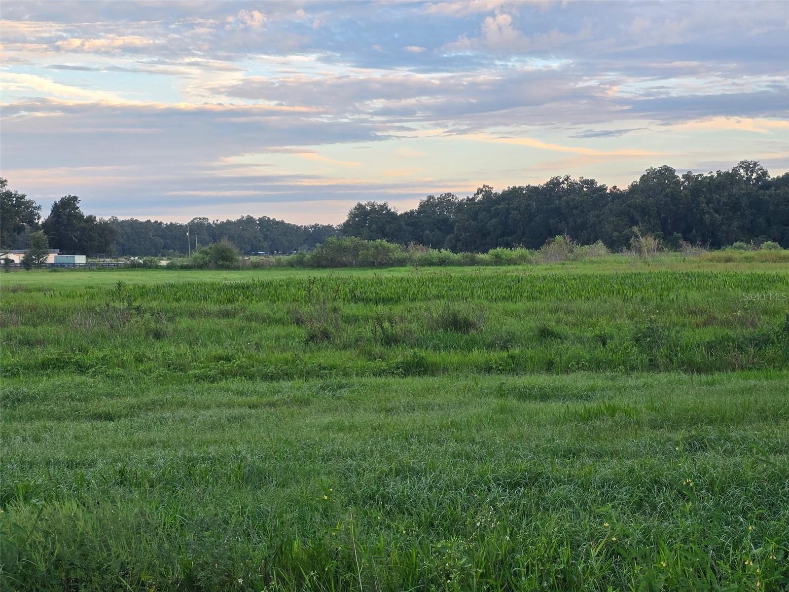 Image 6 of 7 For 9233 12th Drive