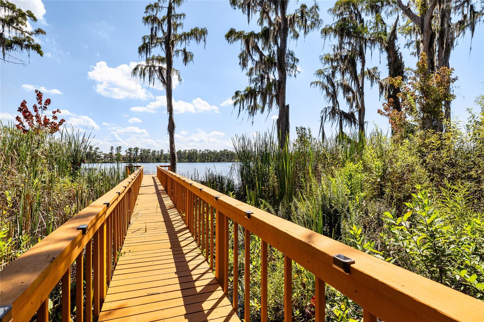 Listing photo id 50 for 11532 Manistique Way