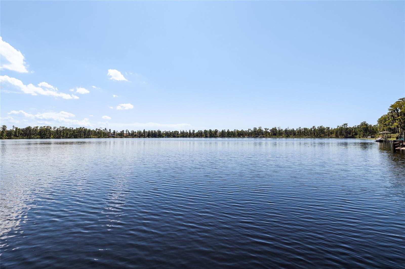 Listing photo id 53 for 11532 Manistique Way