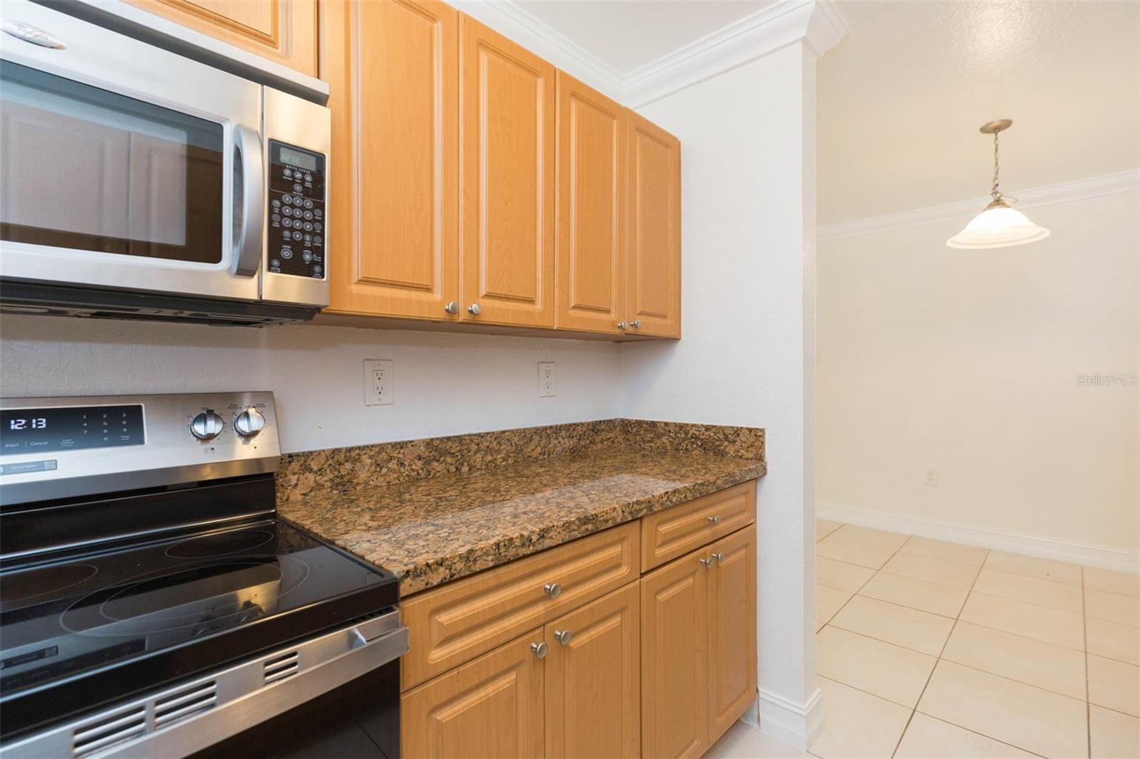 Image 19 of 21 For 5221 Bayshore Boulevard 34