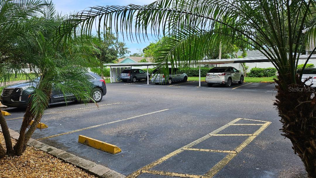 Image 27 of 33 For 5975 Terrace Park Drive N 105