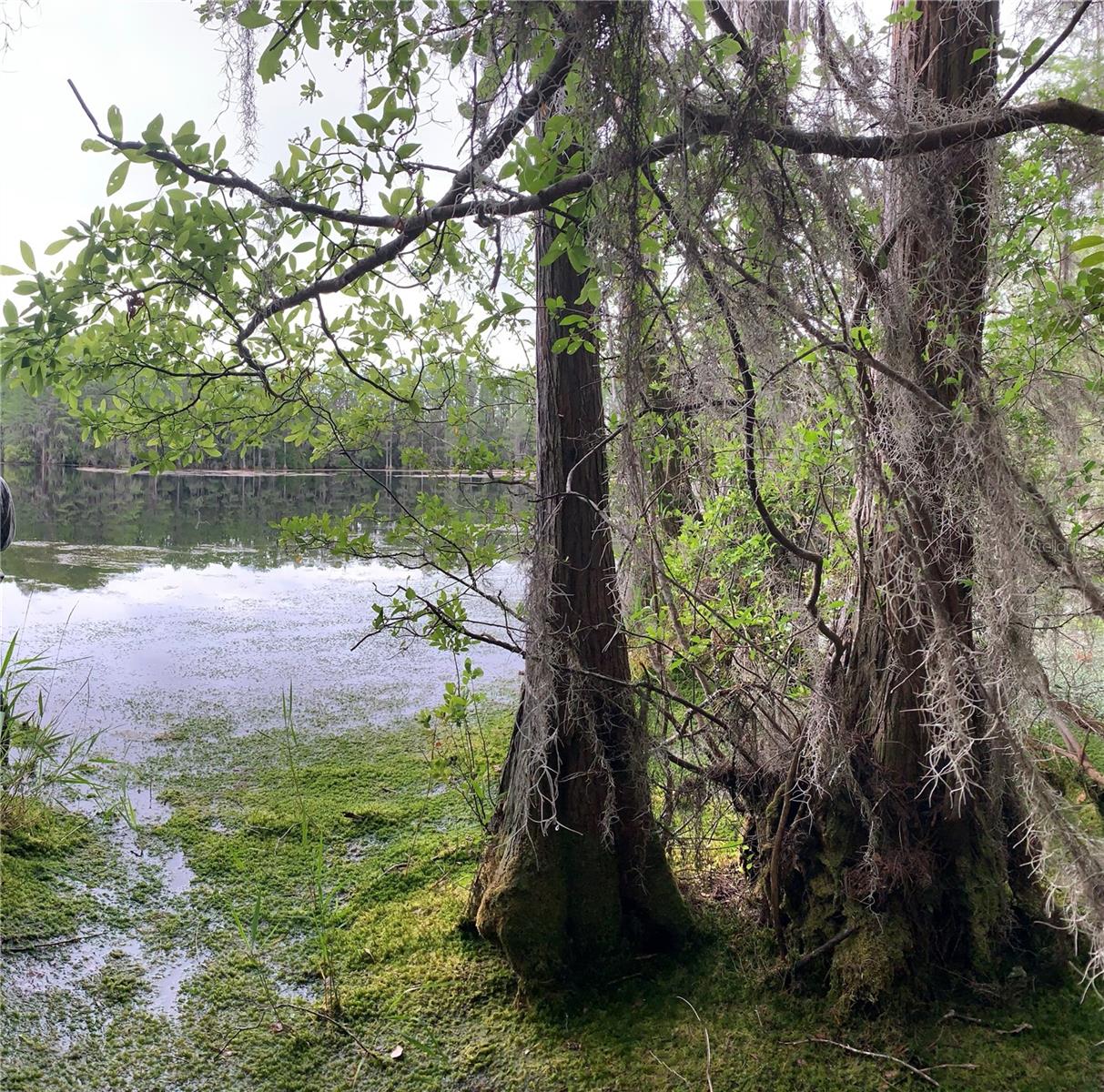 Details for Sw Tower Road, LEE, FL 32059