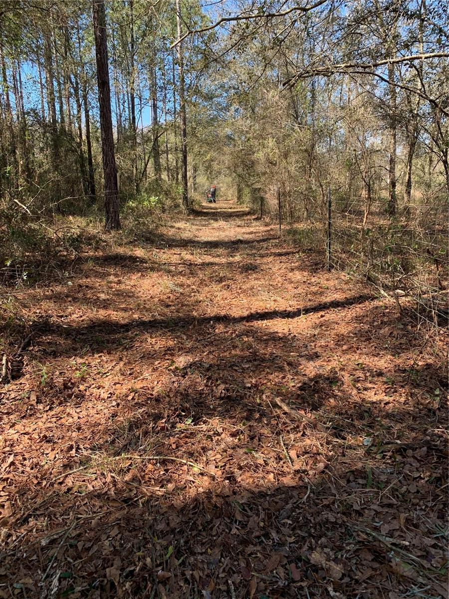 Image 6 of 12 For Sw Tower Road