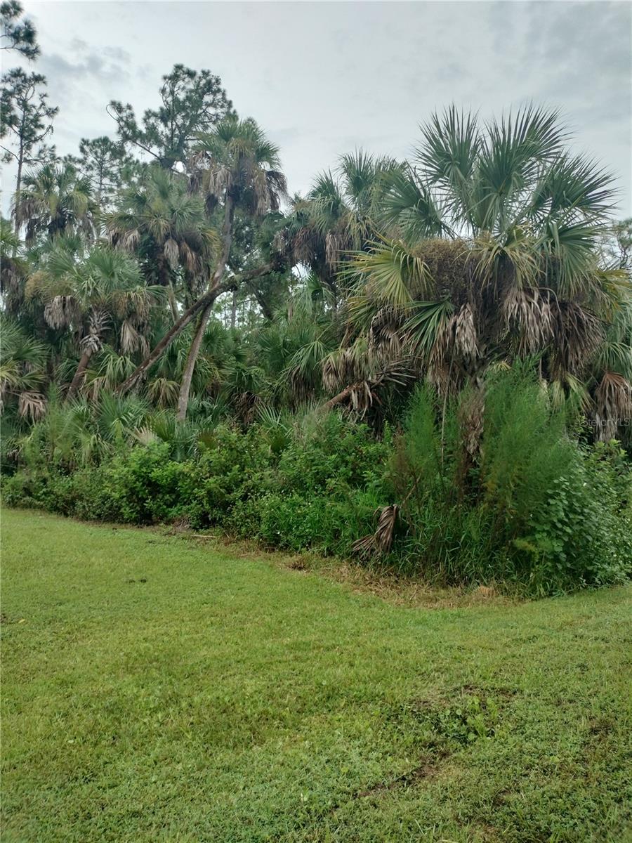 Image 58 of 58 For 2121 Firebrand Road