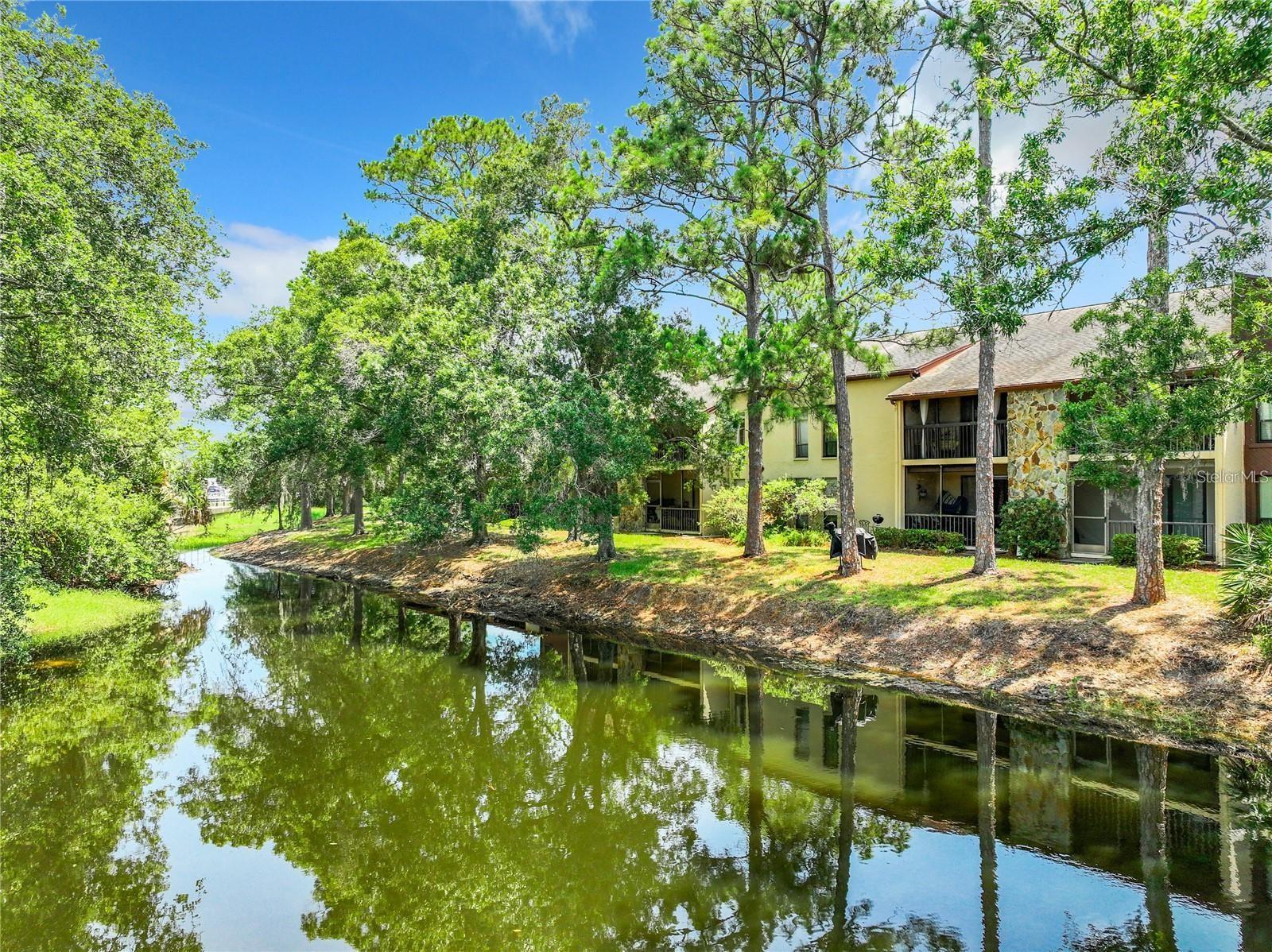 Image 49 of 49 For 1200 Tarpon Woods Boulevard M8