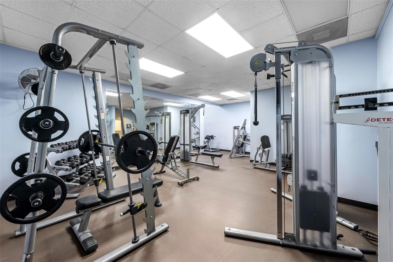 Image 41 of 67 For 345 Bayshore Boulevard 1805