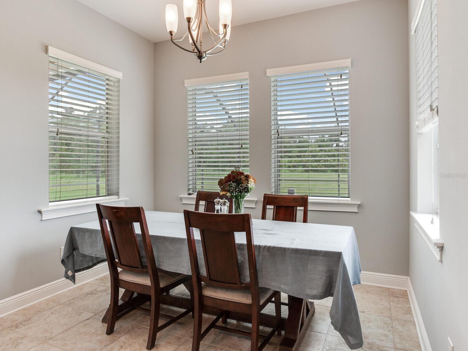 Image 15 of 45 For 8703 Alafia Hills Drive
