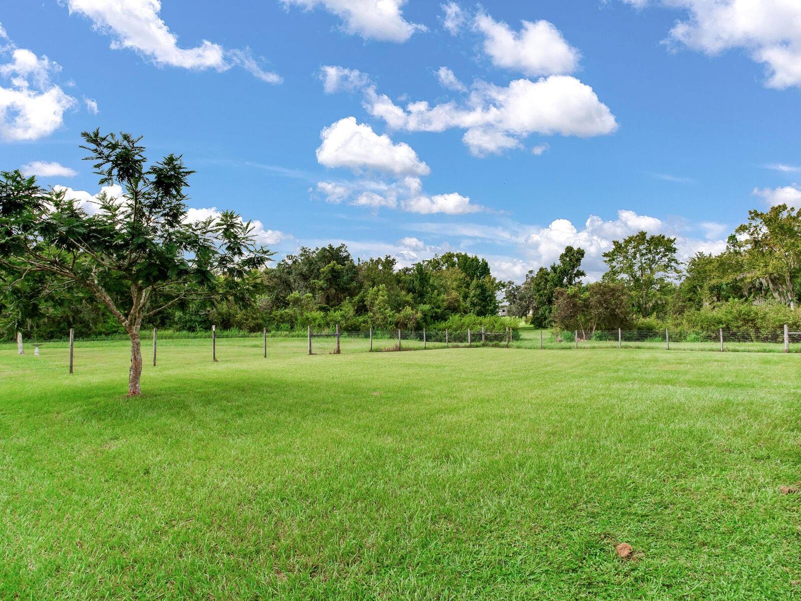 Image 33 of 45 For 8703 Alafia Hills Drive