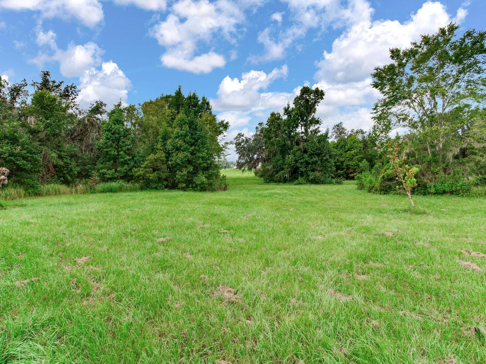 Image 37 of 45 For 8703 Alafia Hills Drive