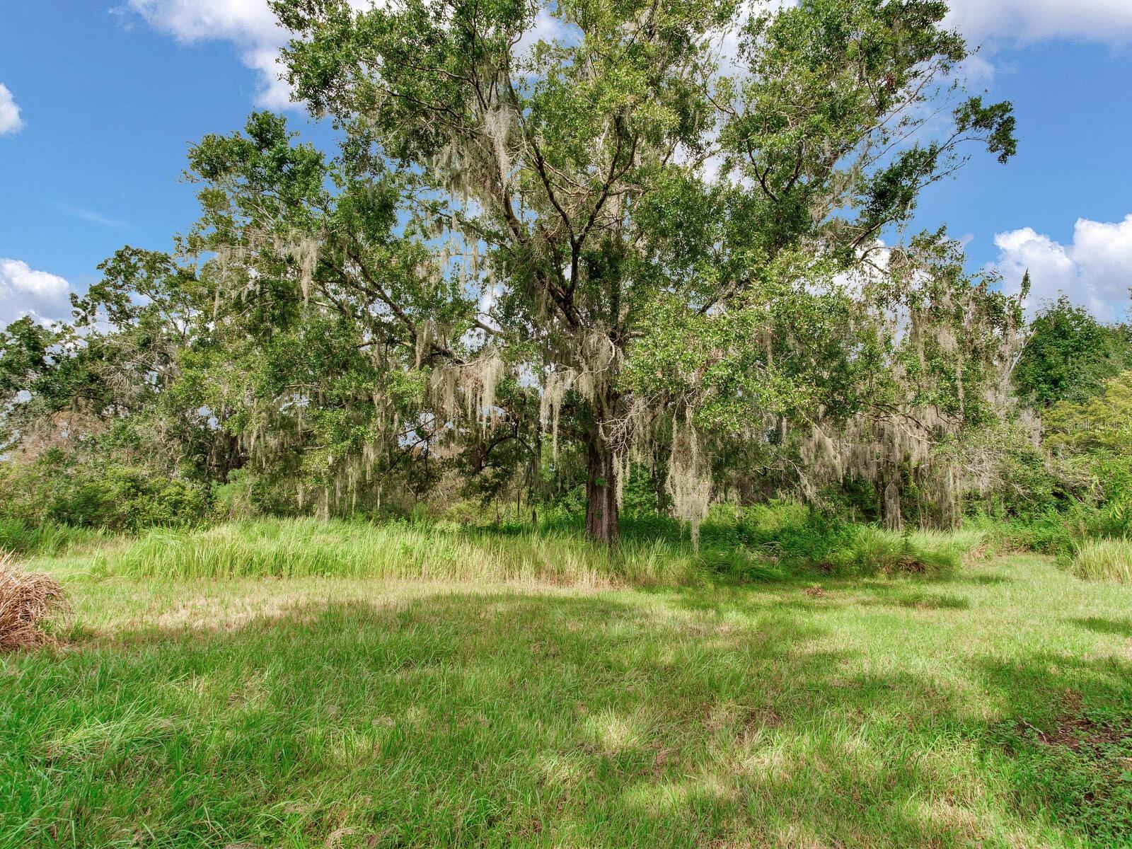 Image 38 of 45 For 8703 Alafia Hills Drive