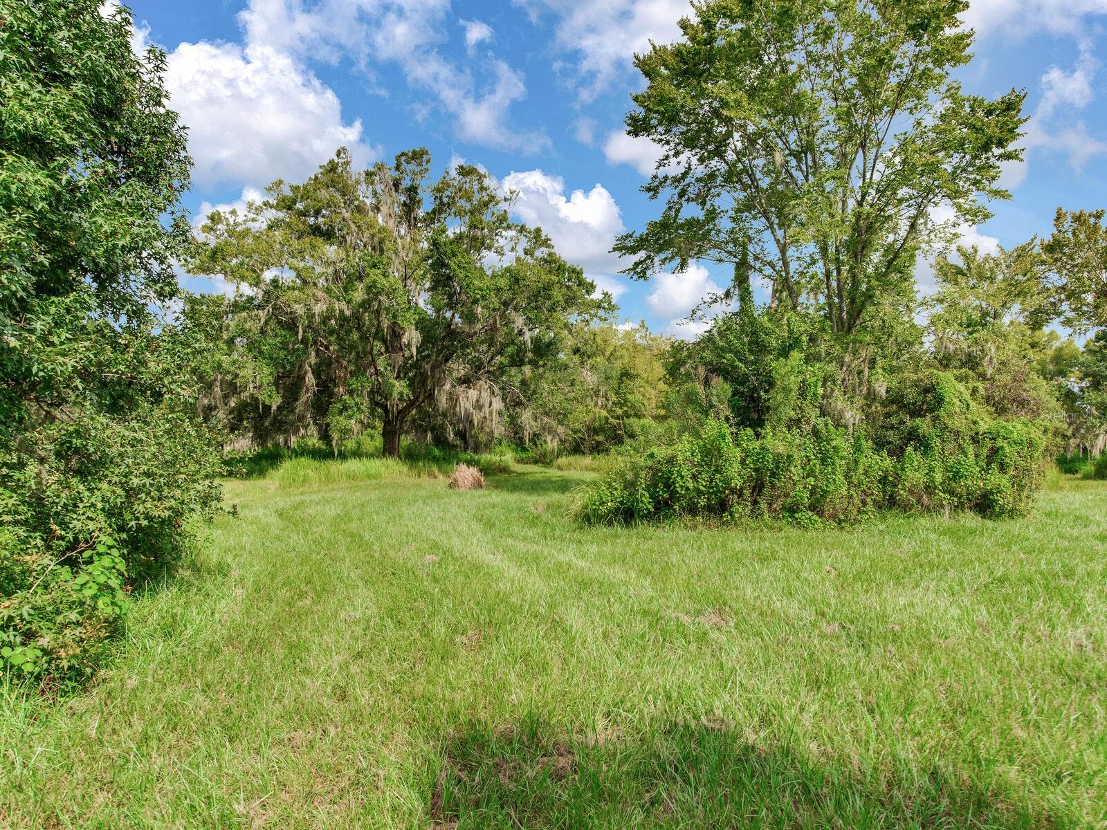 Image 40 of 45 For 8703 Alafia Hills Drive