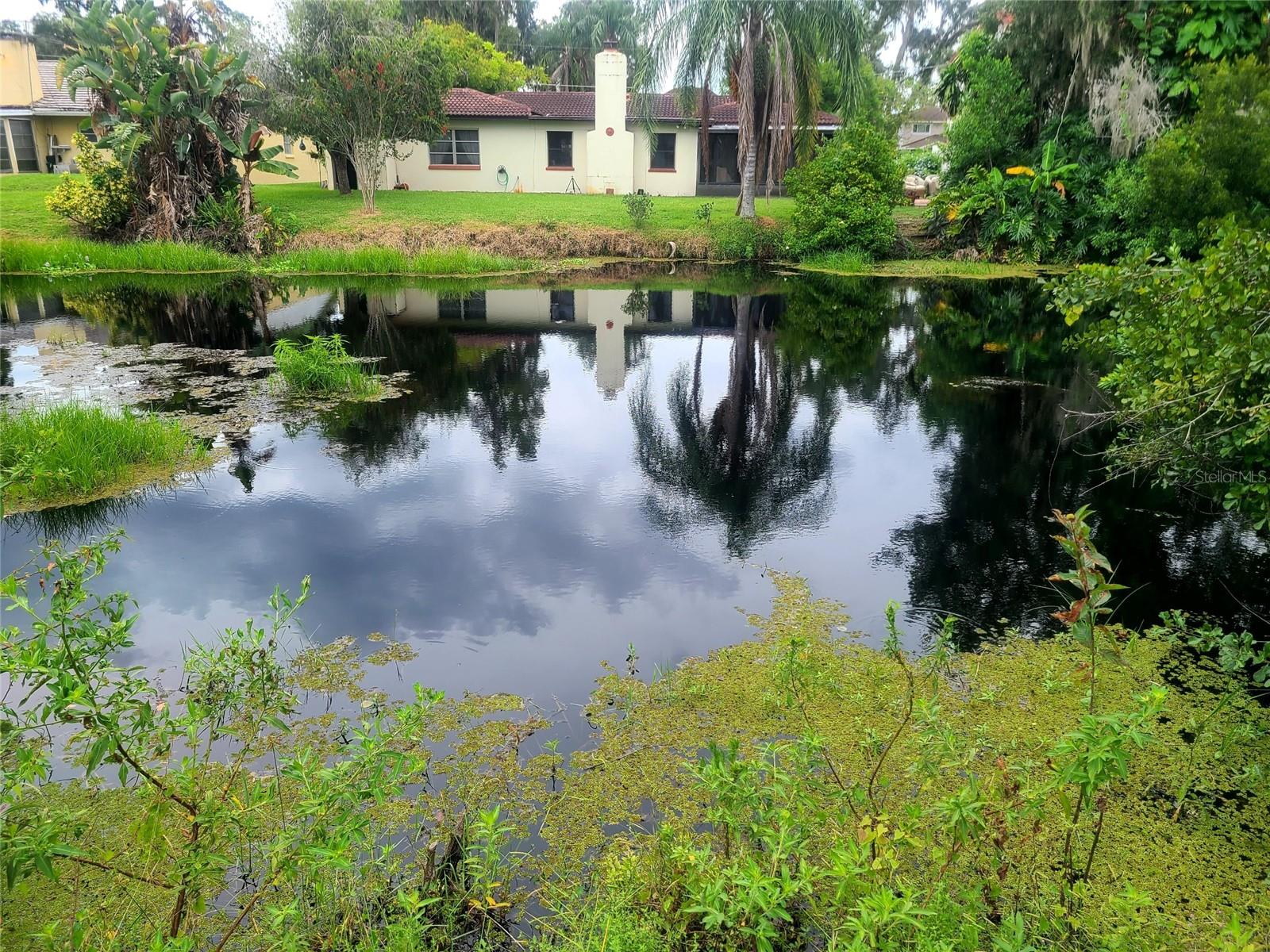 Details for 18810 Tracer Drive, LUTZ, FL 33549
