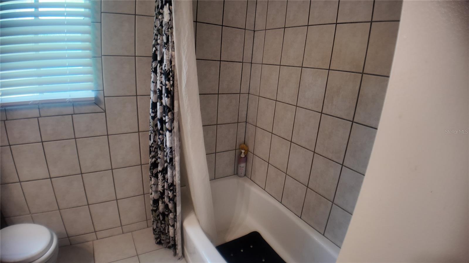 Image 17 of 52 For 15402 Lake Magdalene Boulevard