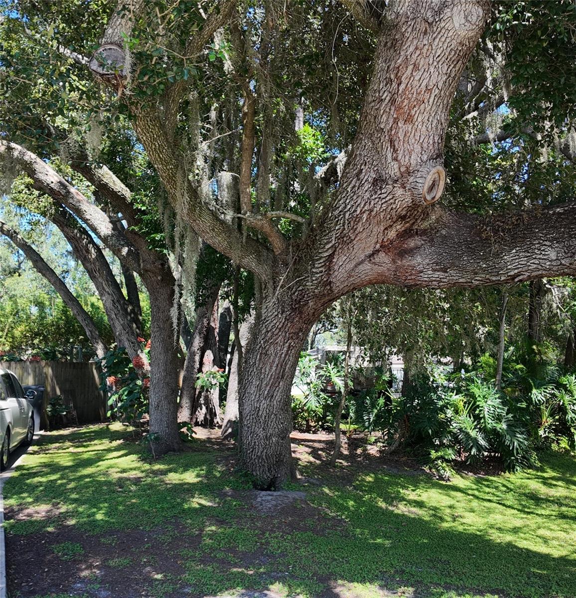 Image 4 of 52 For 15402 Lake Magdalene Boulevard