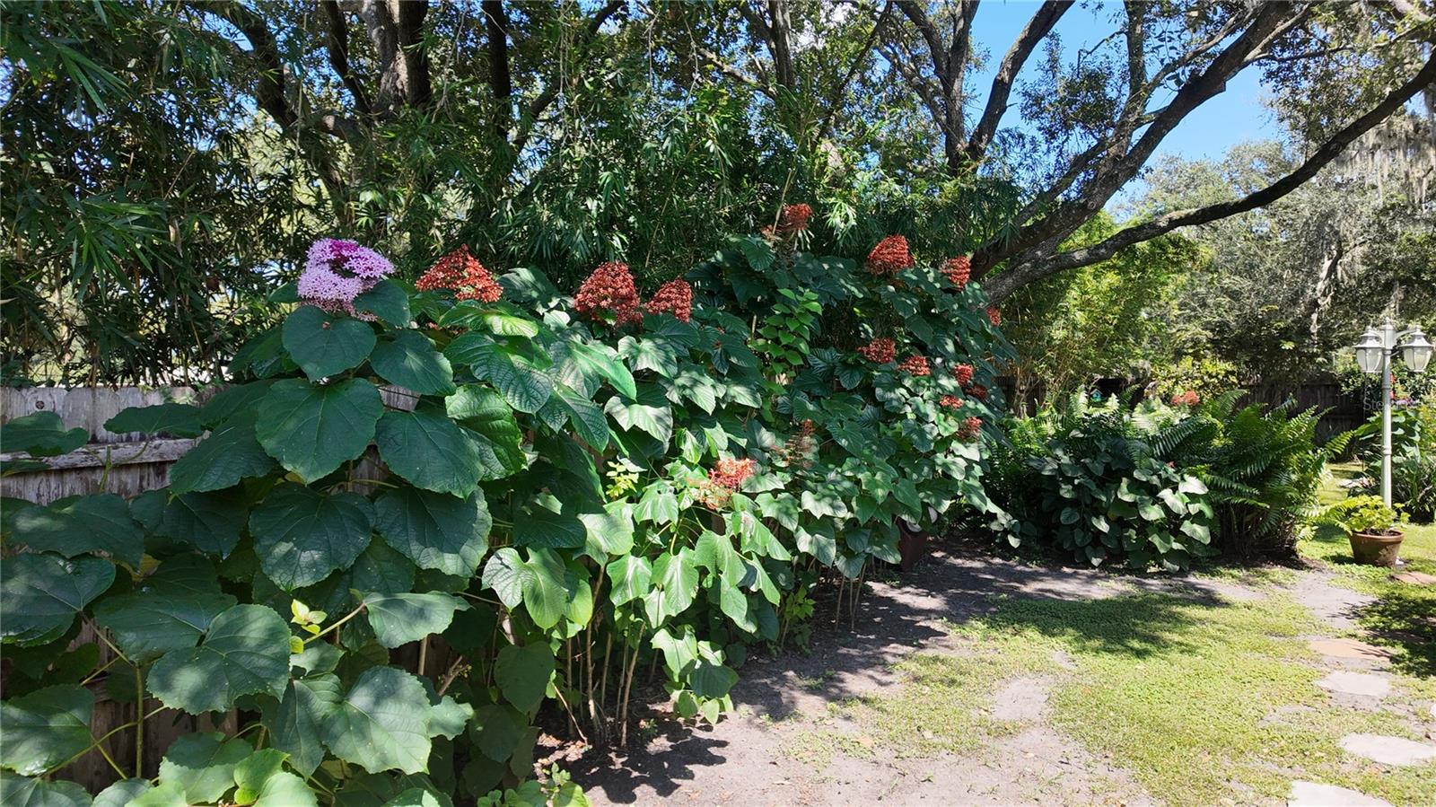 Image 43 of 52 For 15402 Lake Magdalene Boulevard