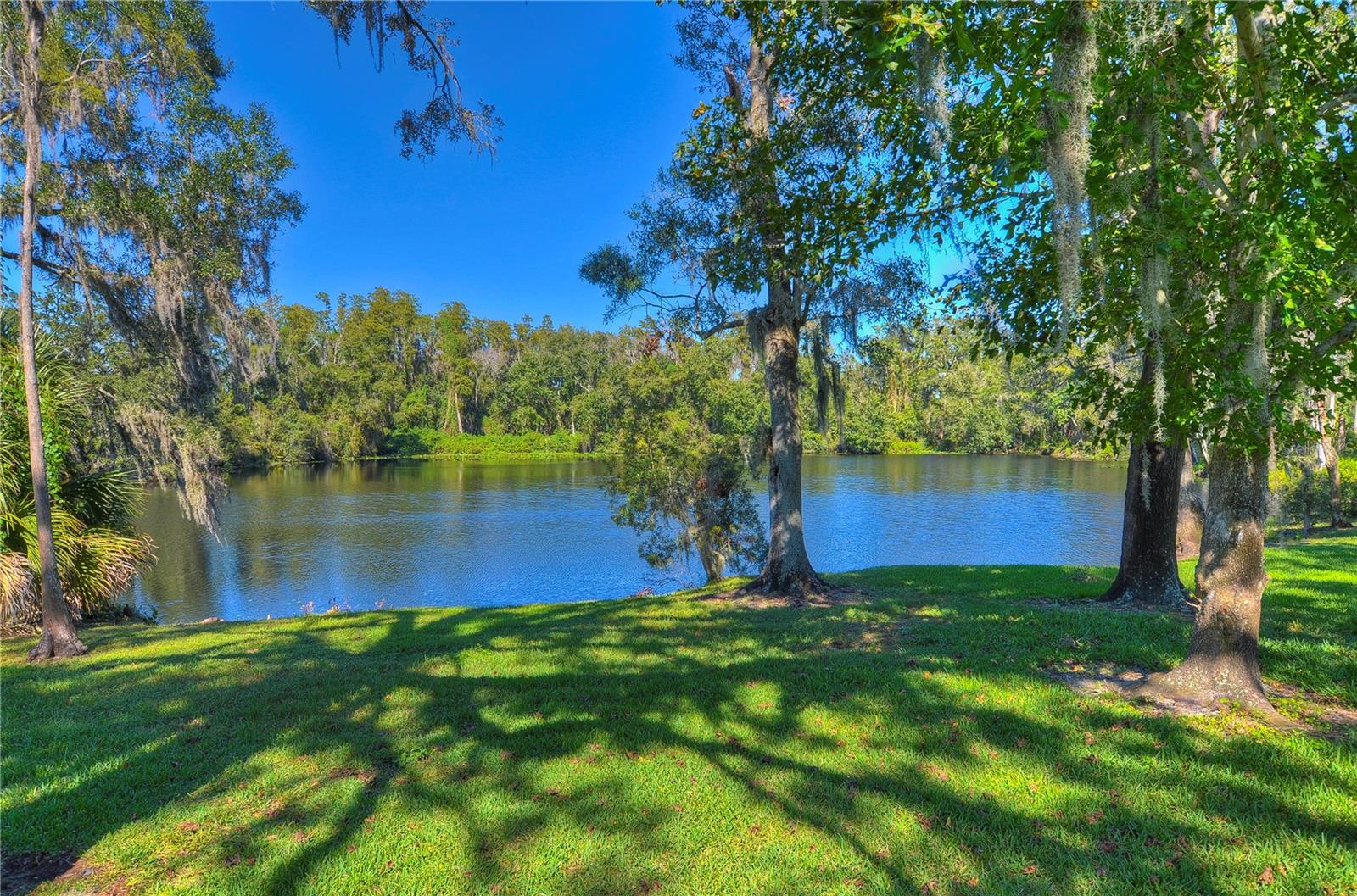 Image 65 of 81 For 7013 Briarhill Court