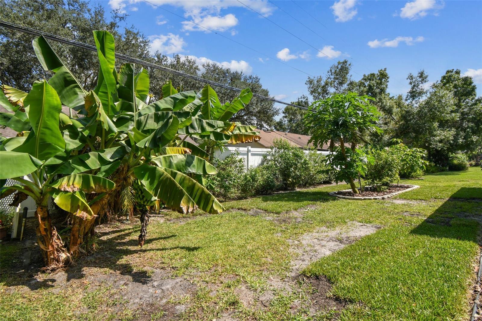 Image 51 of 99 For 2834 Thistle Court E
