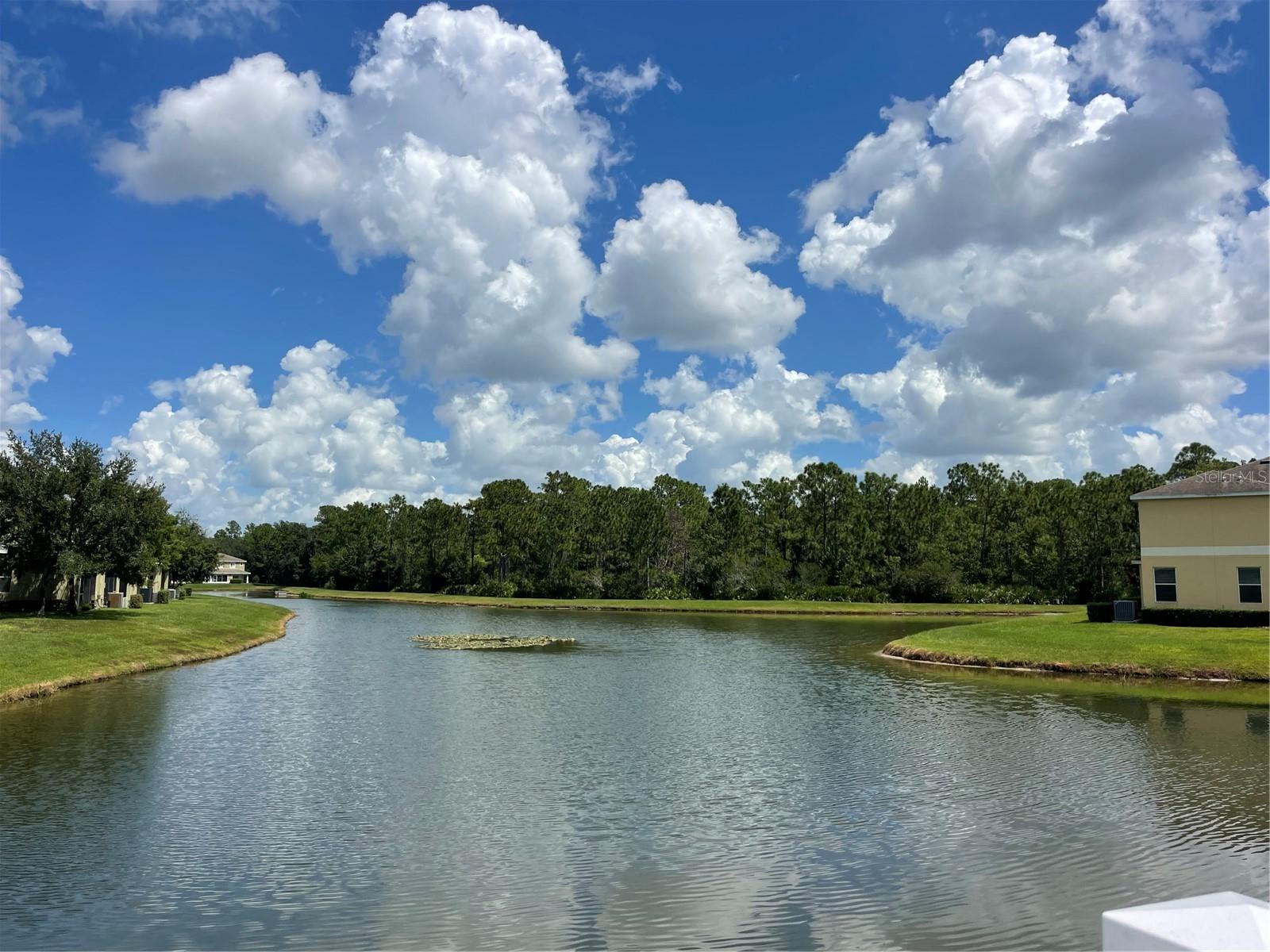 Listing photo id 31 for 20438 Needletree Drive