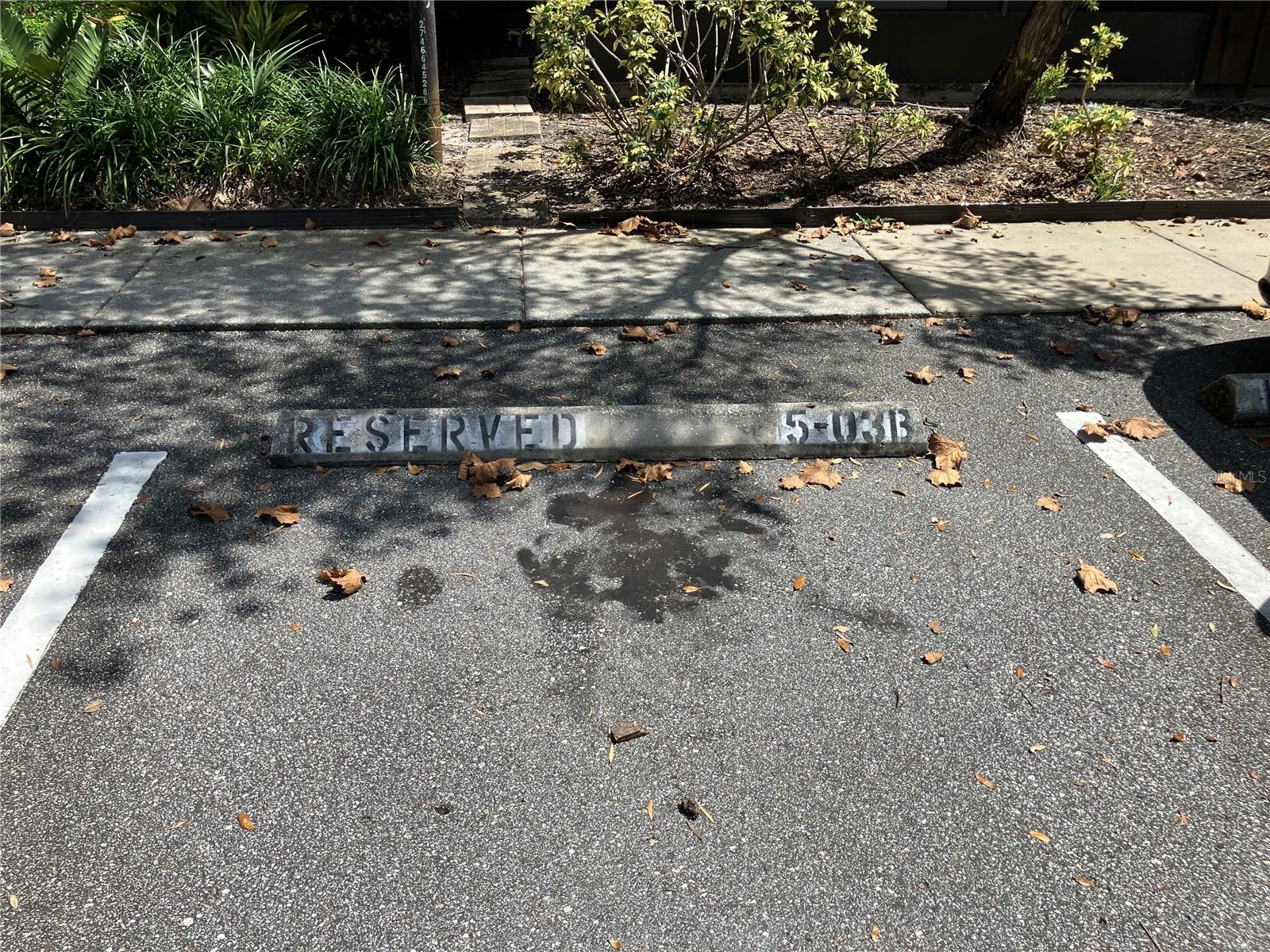 Image 35 of 39 For 11703 Raintree Village Boulevard B