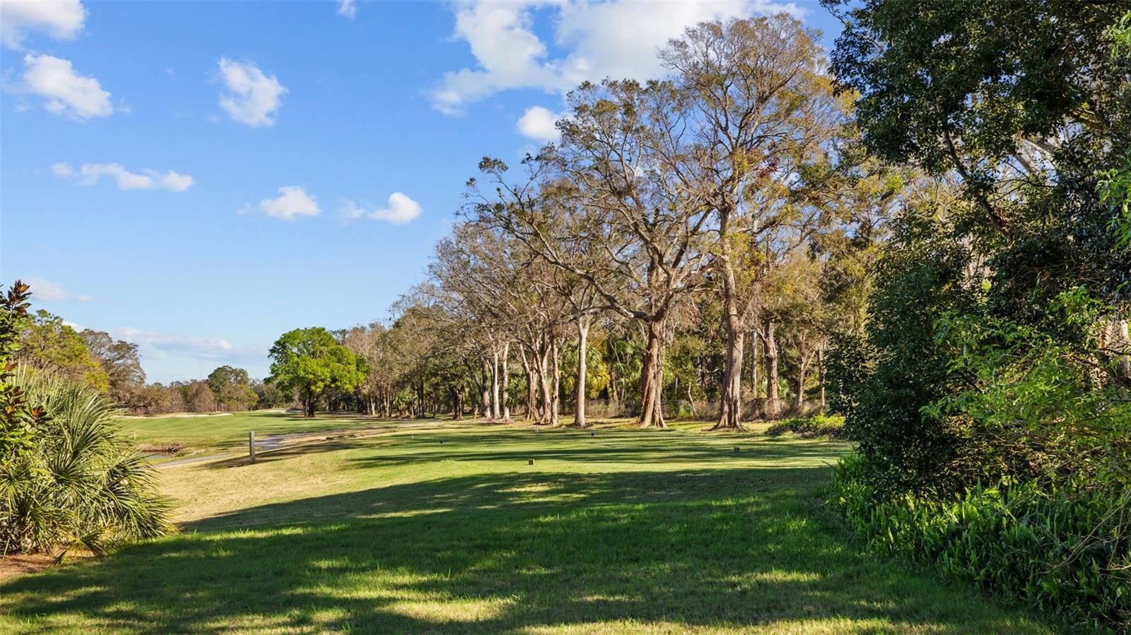 Image 83 of 100 For 632 Royal Dornock Court